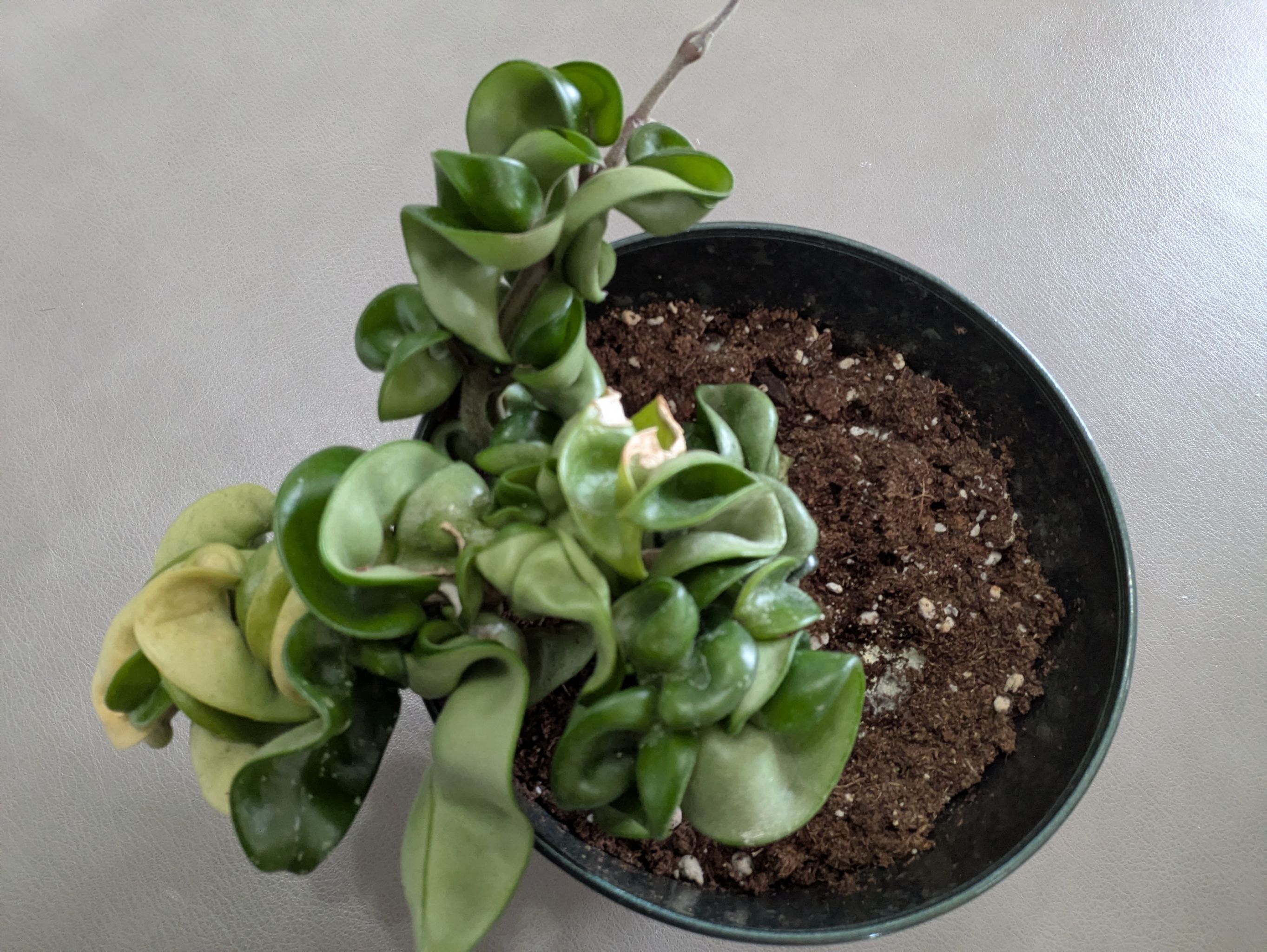 Photo from the post