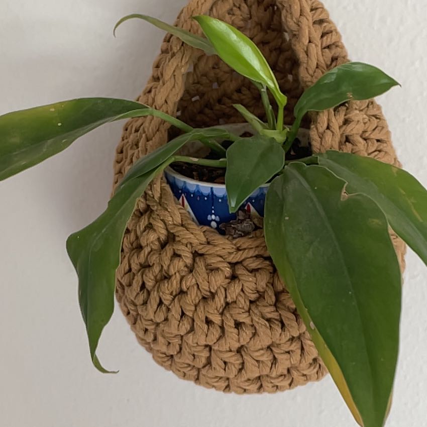 Photo of the plant species philodendron Jungle Boogie by @RootandRitual named Bramble on Greg, the plant care app
