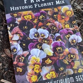 Photo of the plant species Pansy by @RootandRitual named Pansy historic florist mix on Greg, the plant care app