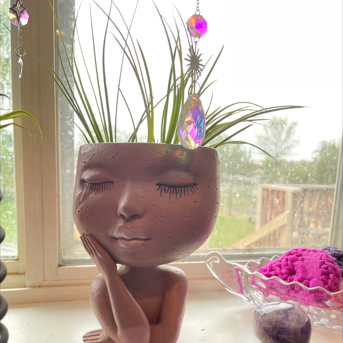 Photo of the plant species Tillandsia melanocrater by @RootandRitual named Lamia on Greg, the plant care app