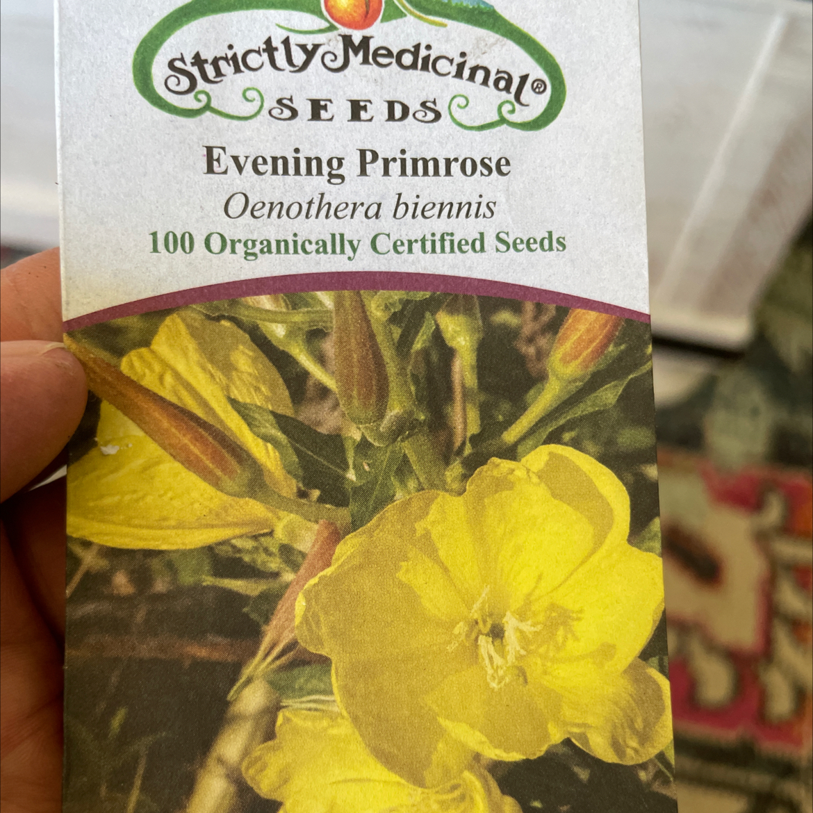 Photo of the plant species Evening Primrose by @RootandRitual named Primrose- evening on Greg, the plant care app