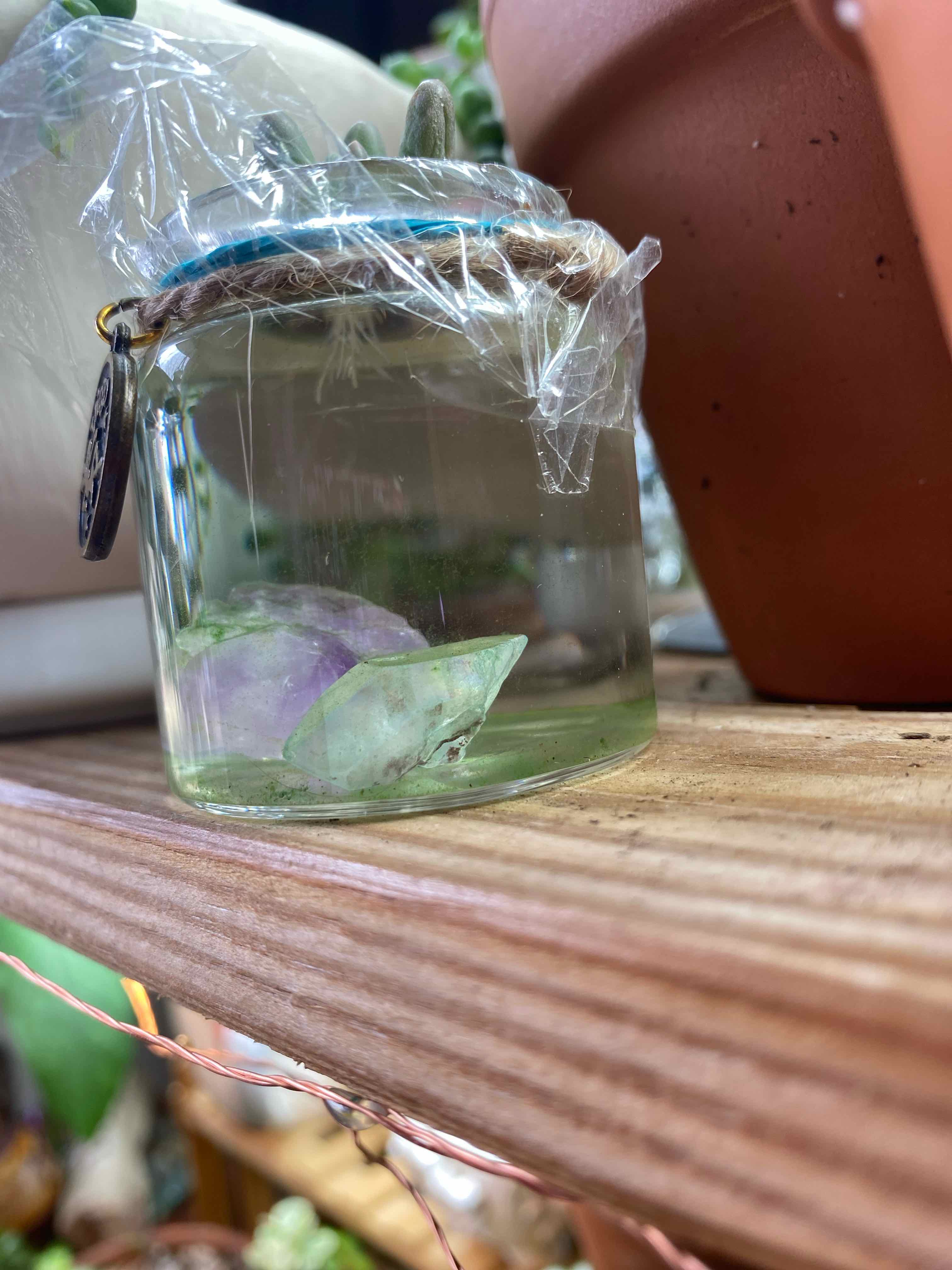 A Pachyphytum Baby Finger cutting submerged in water inside a small glass jar.
