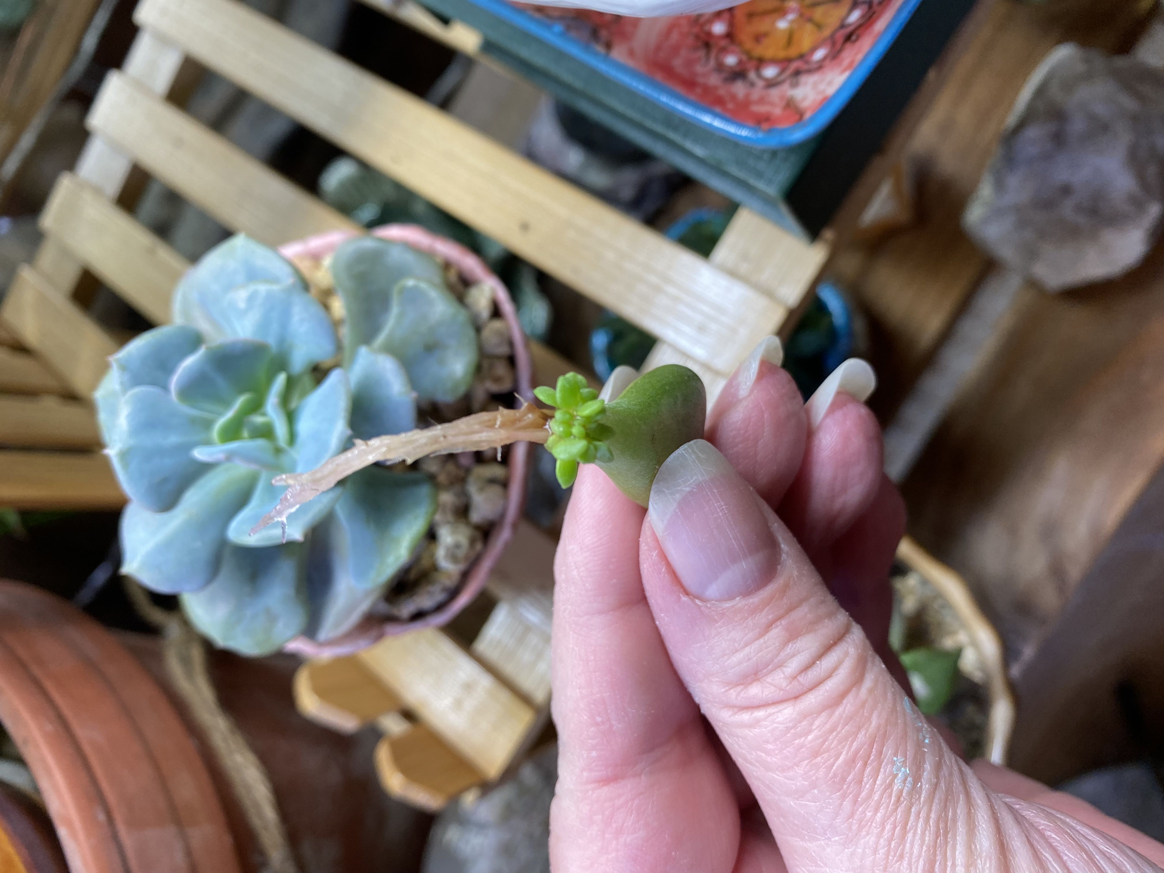 Photo from the post