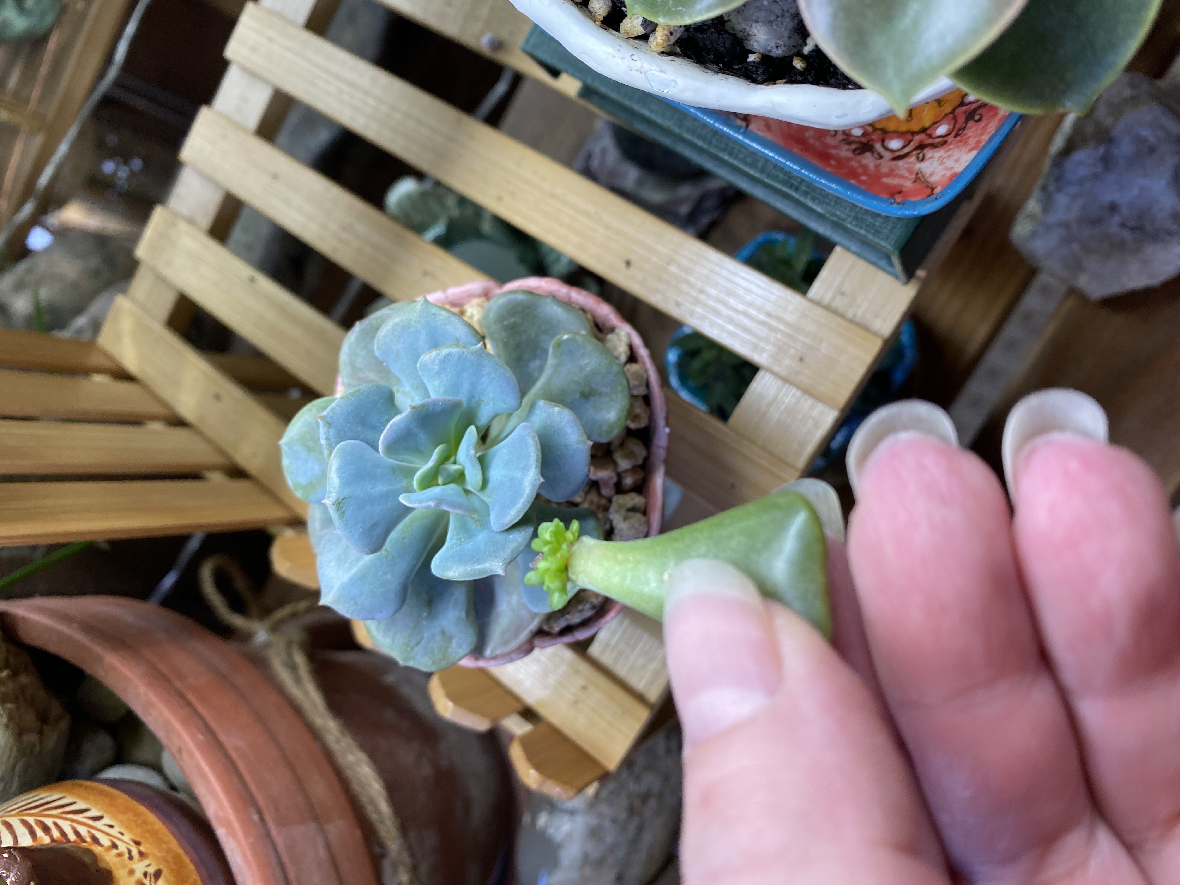 Photo from the post