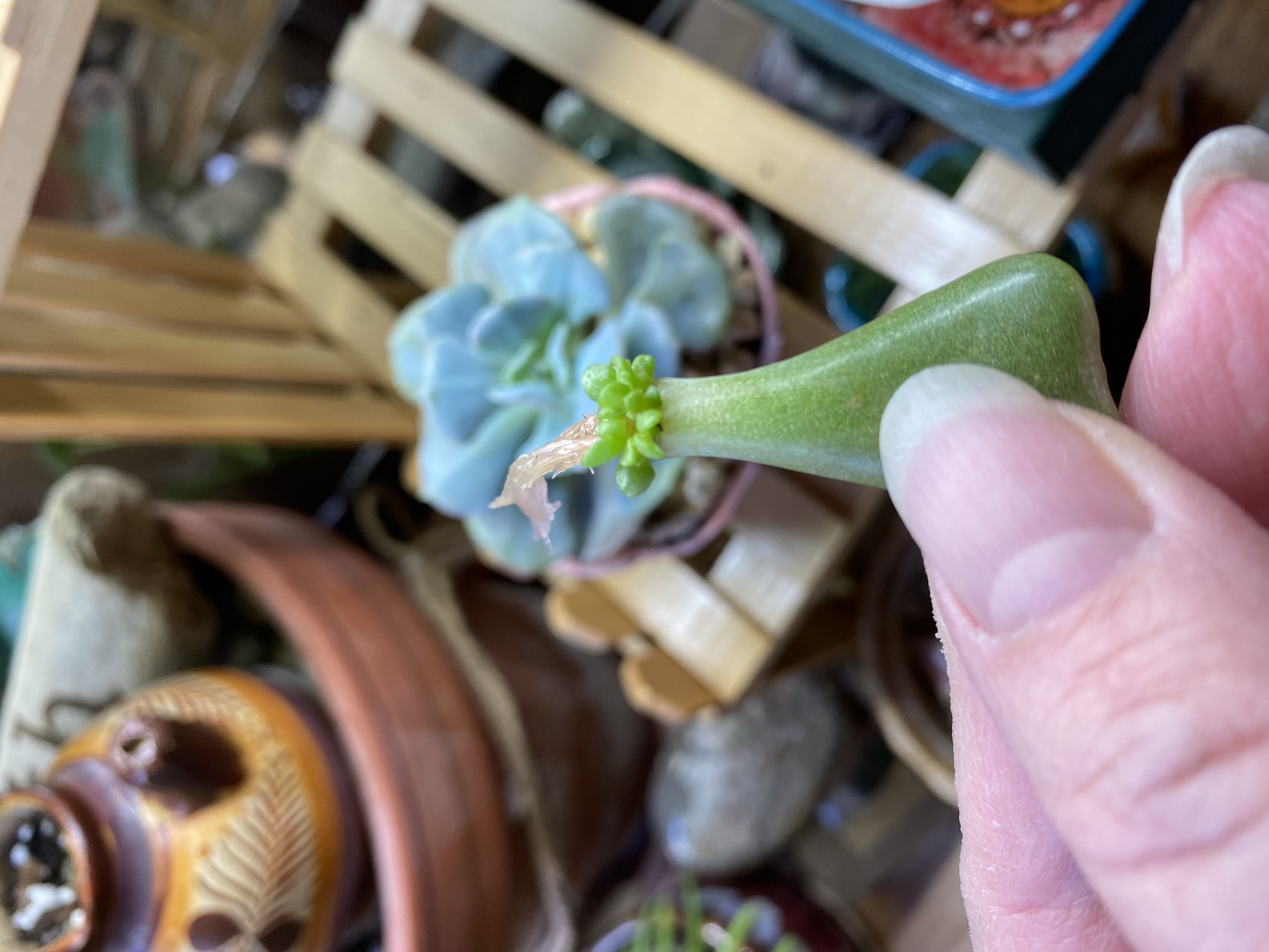 Photo from the post