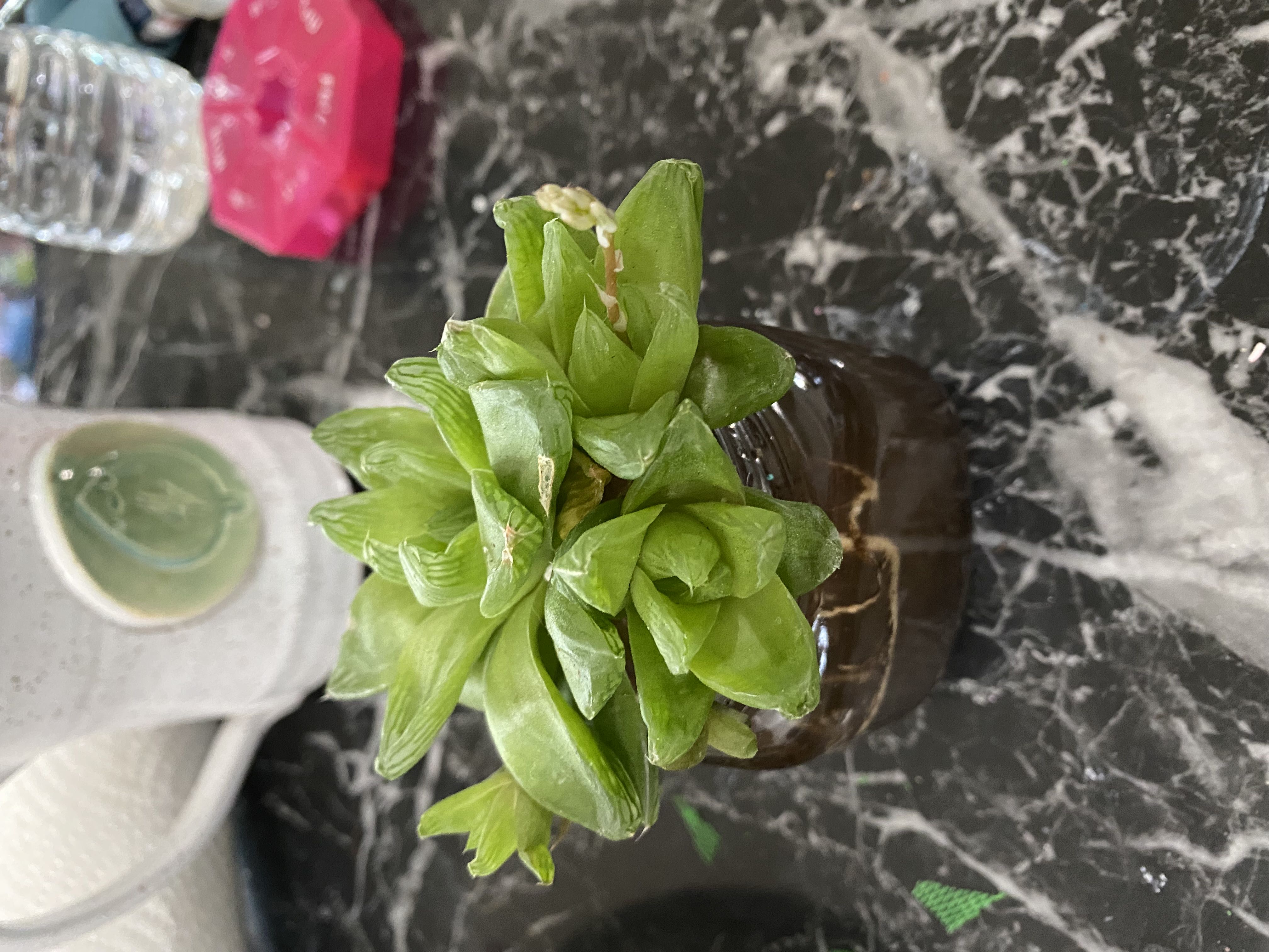 Photo from the post