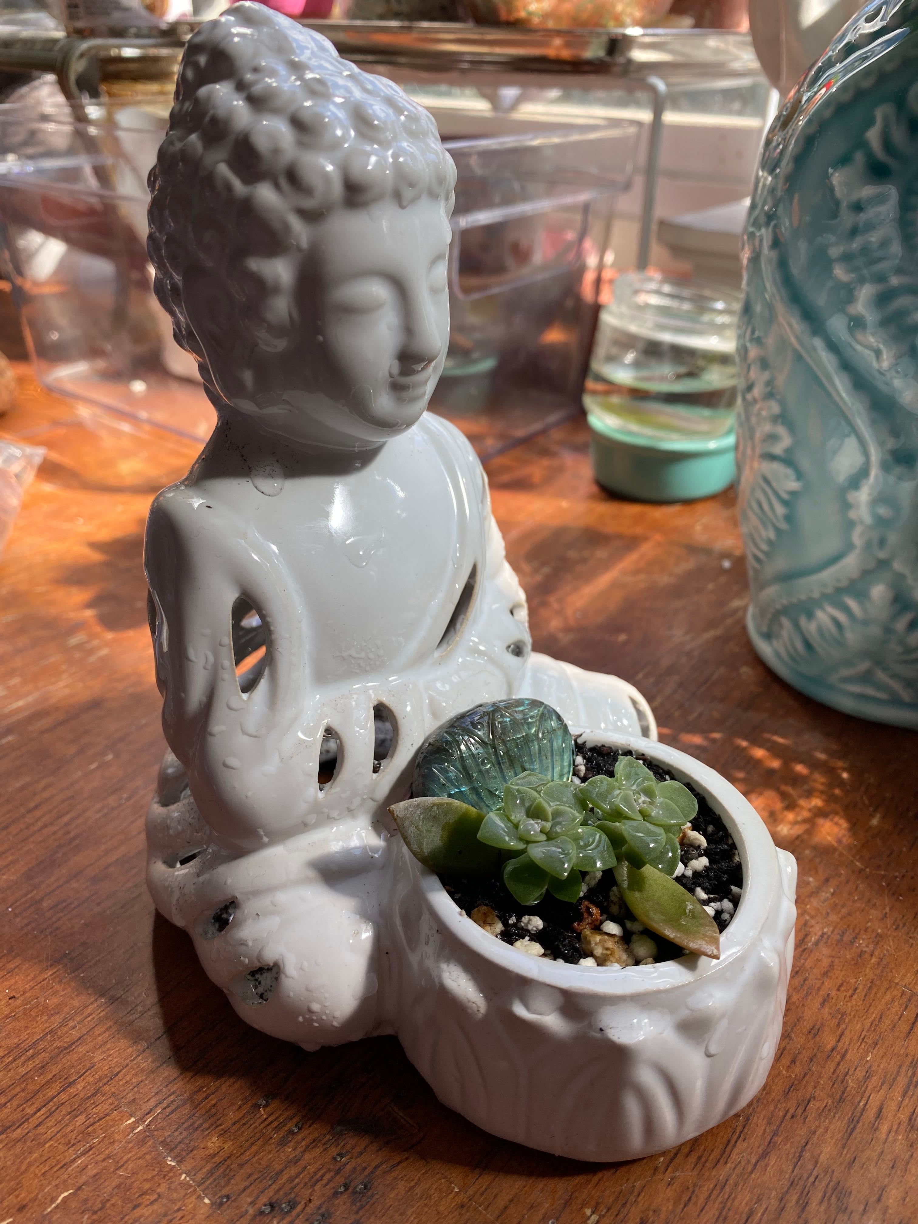 🌾 Ornamental Grasses Hardiness Zones Ultimate