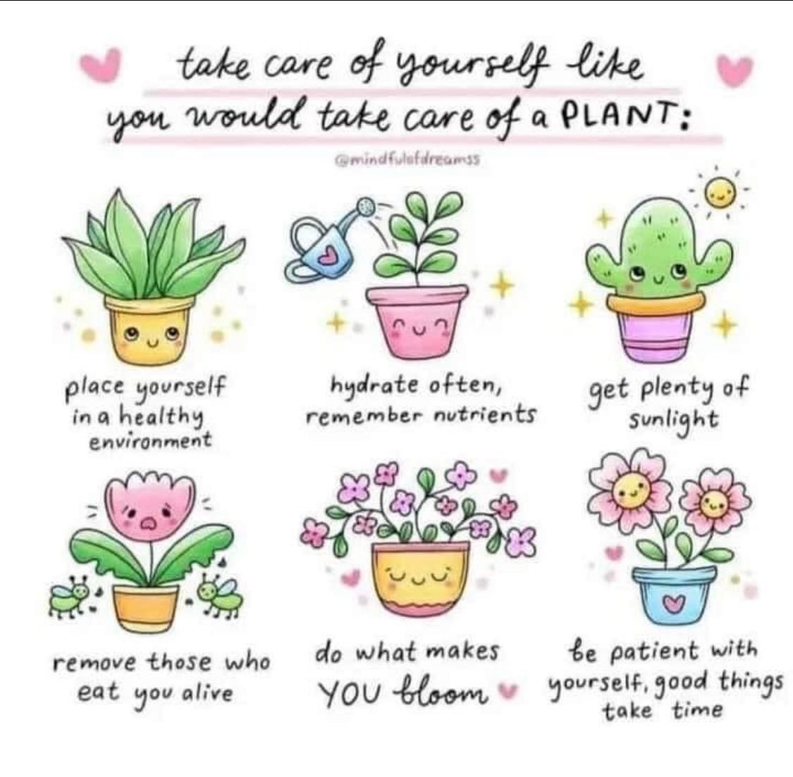 Enjoy this plant meme, y'all!