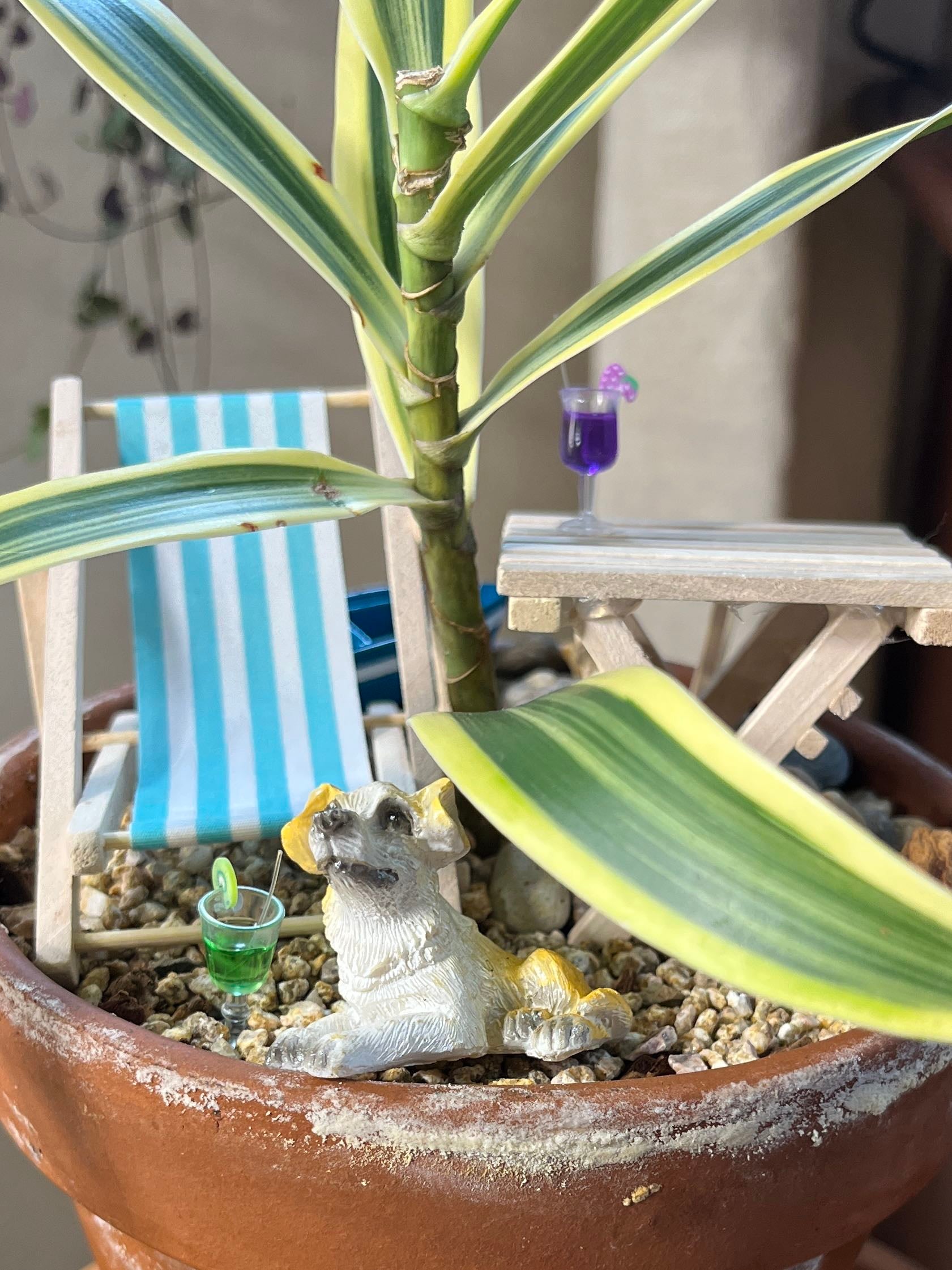 Thin leaves A plant by EvenhandedGray on Greg