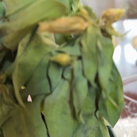 Photo of the plant species Lisianthus by @TotalStaraloe79 named Queen on Greg, the plant care app