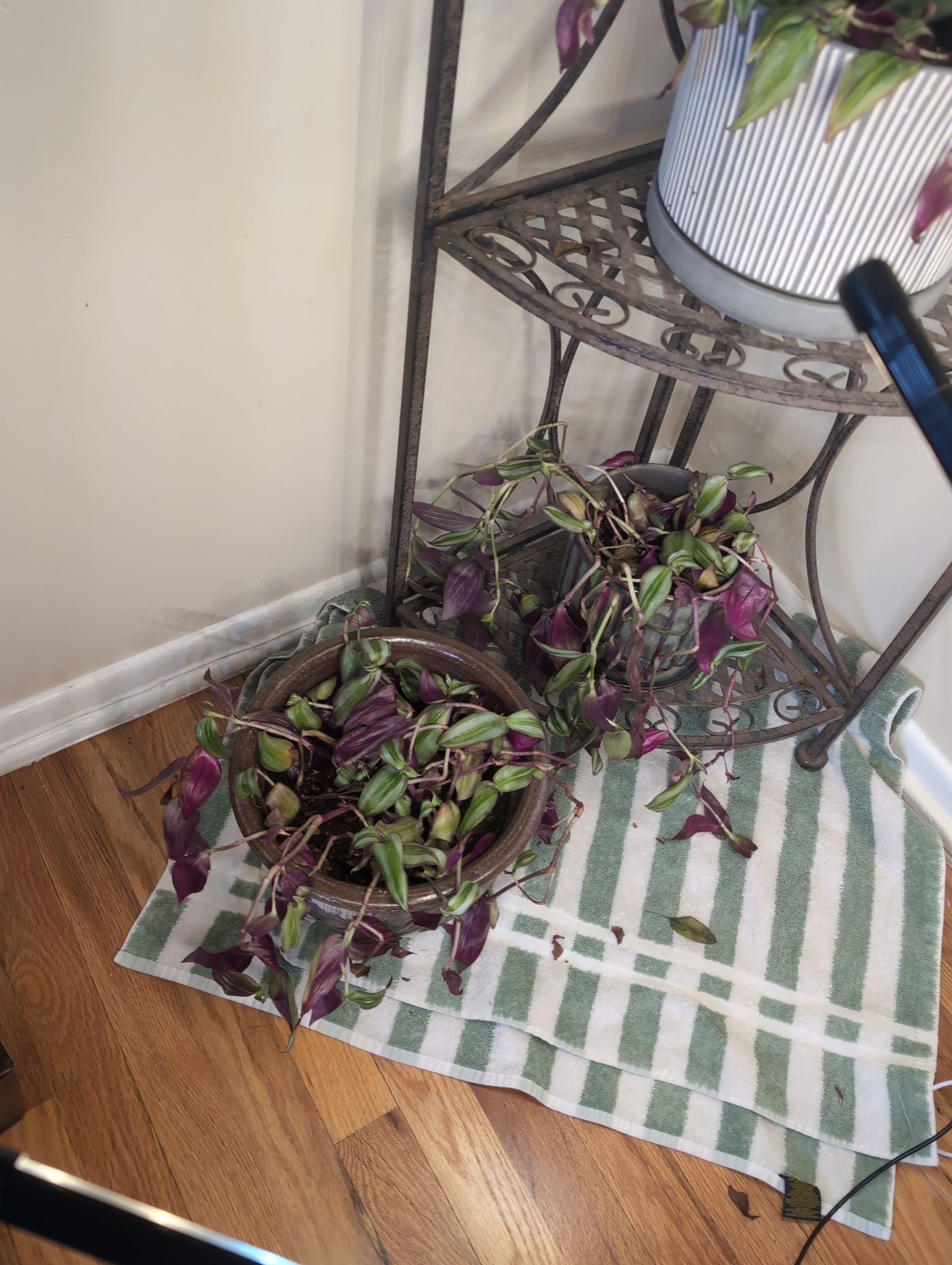 Photo from the post