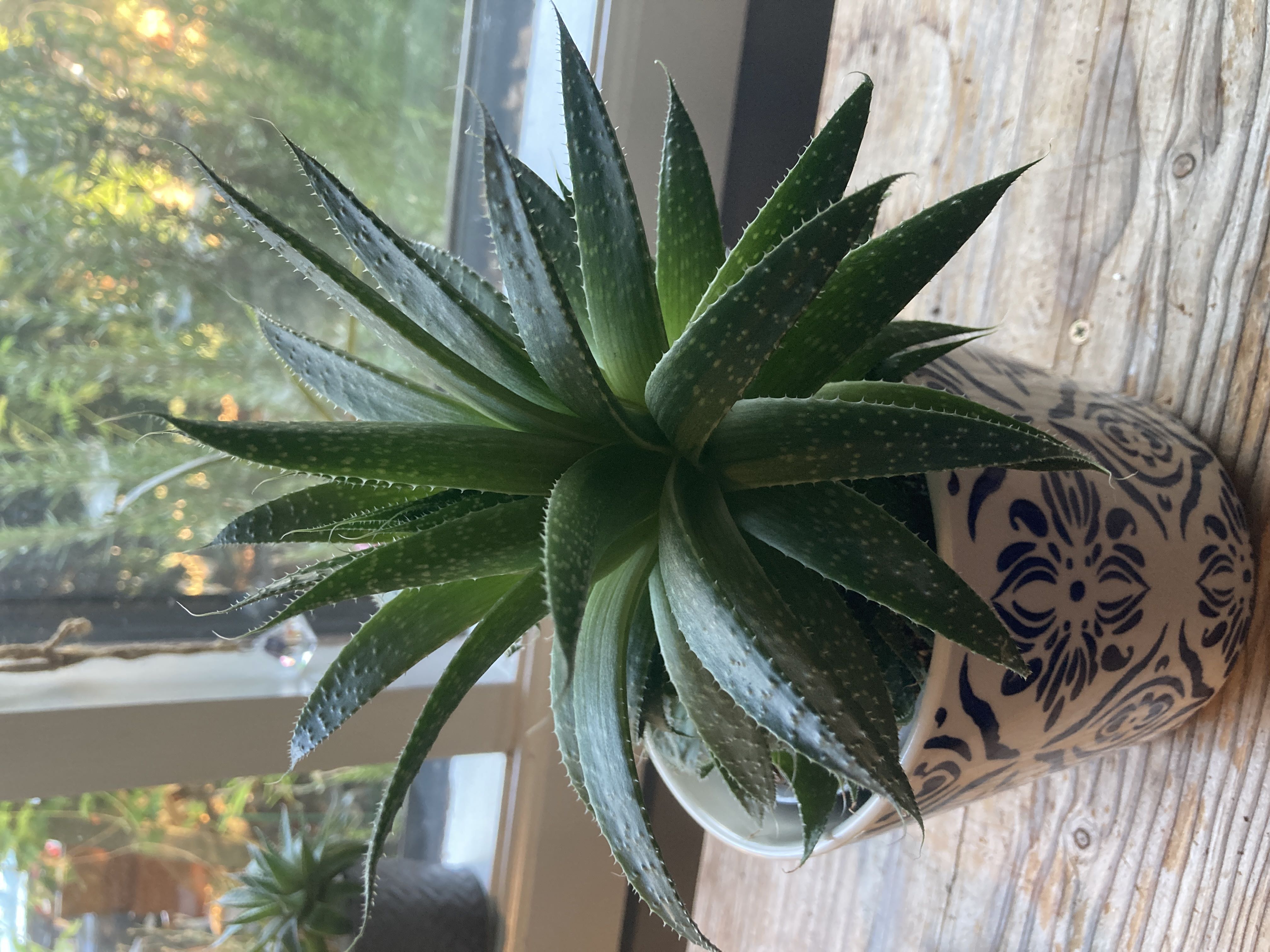 Photo from the post