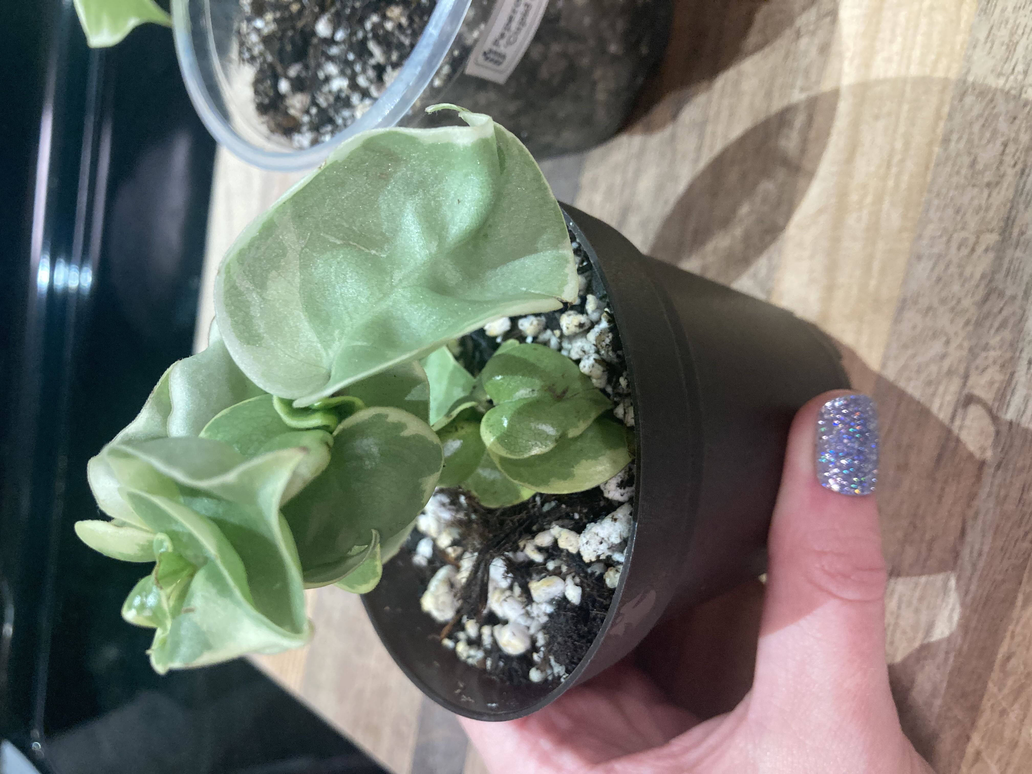 Photo from the post
