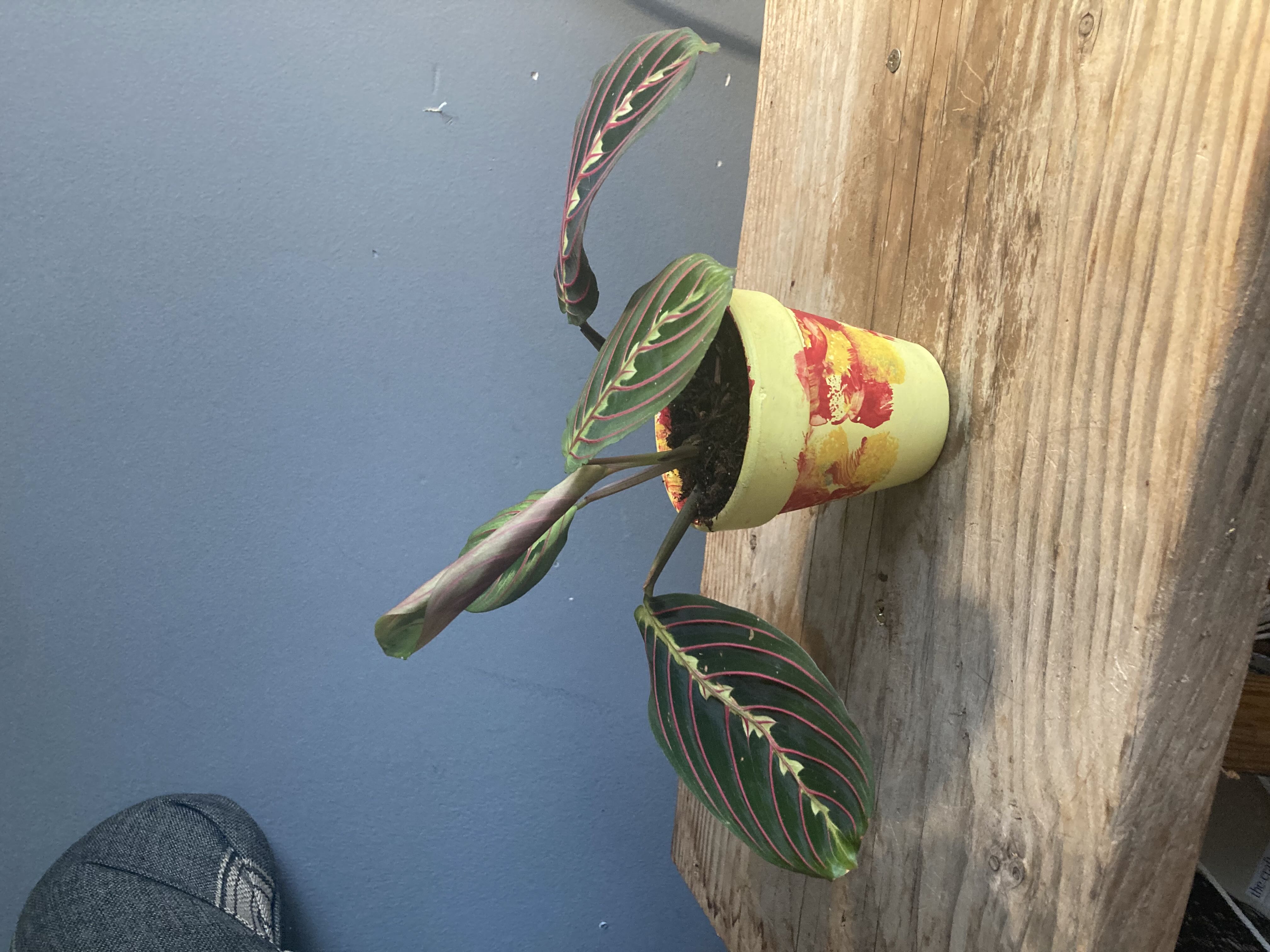 Photo from the post
