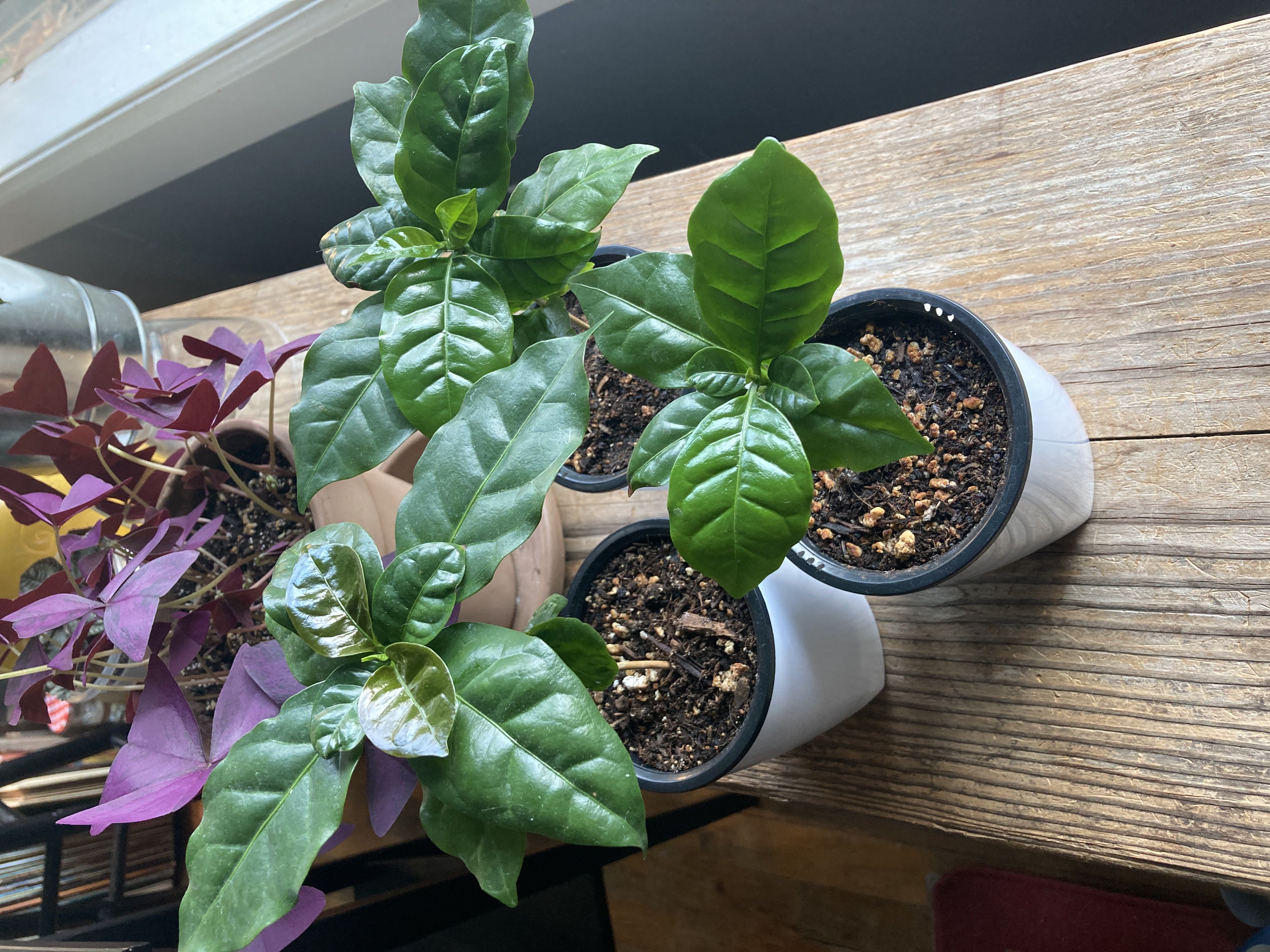 Photo from the post