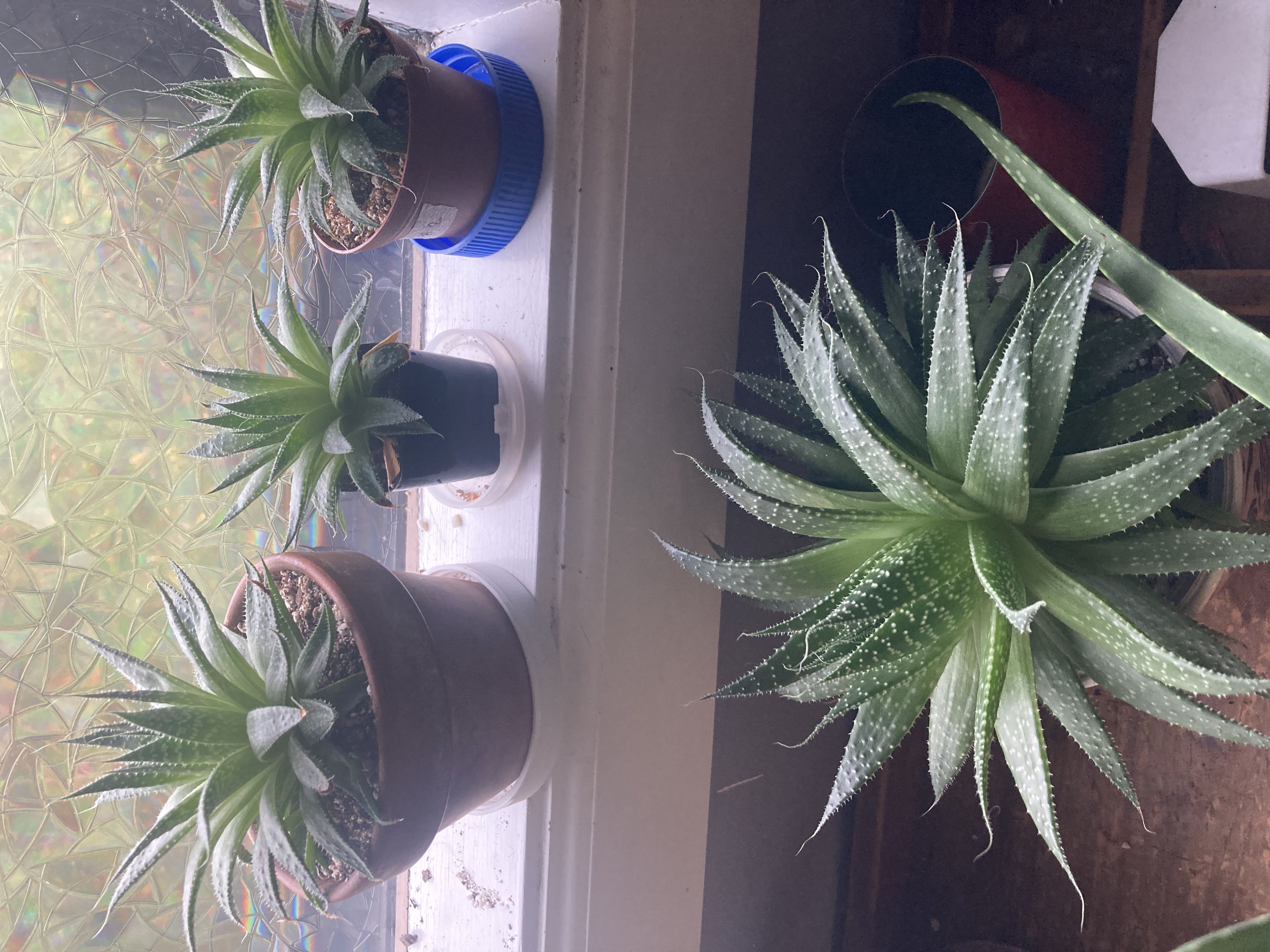 Photo from the post