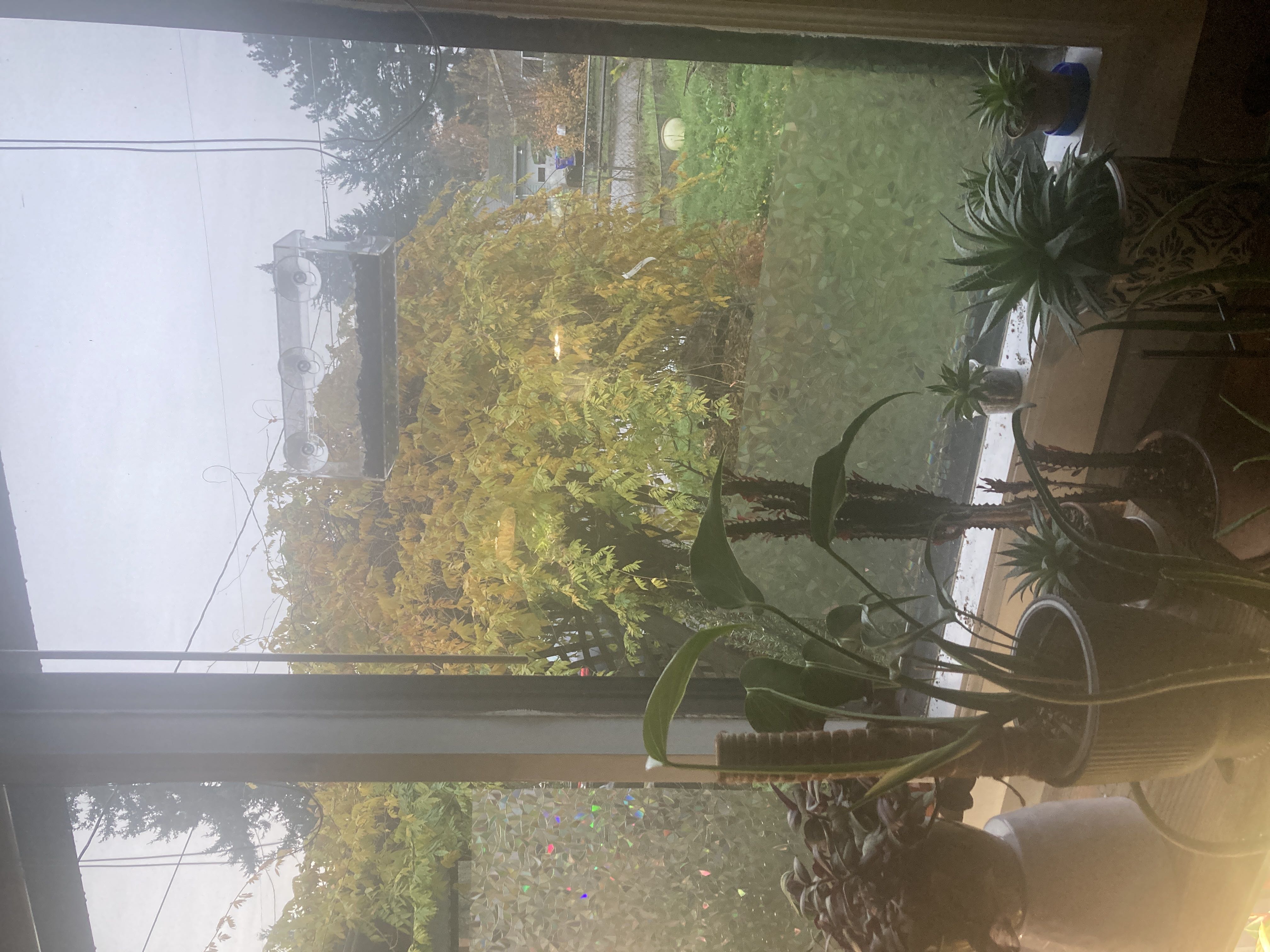 Photo from the post