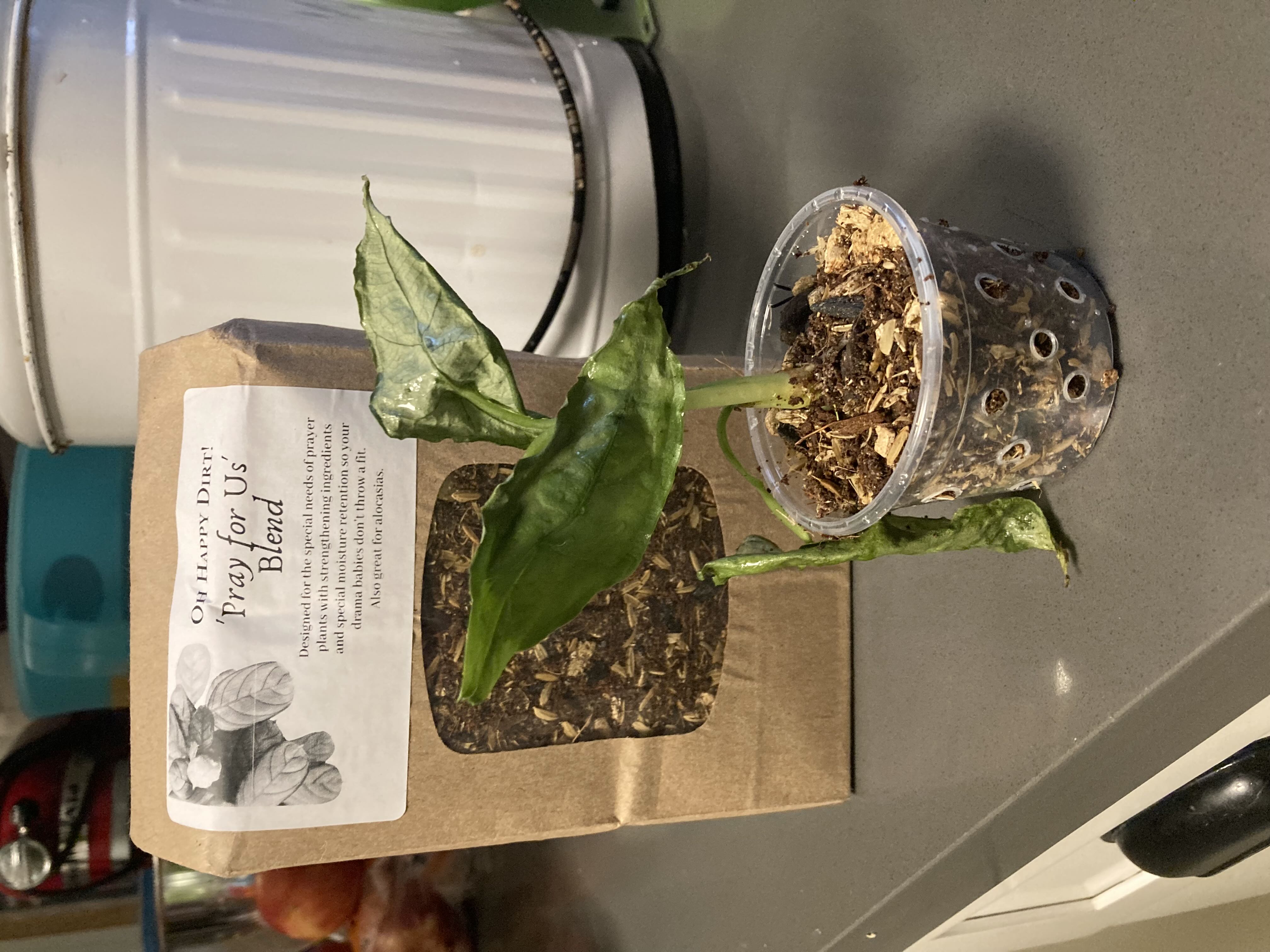 Photo from the post