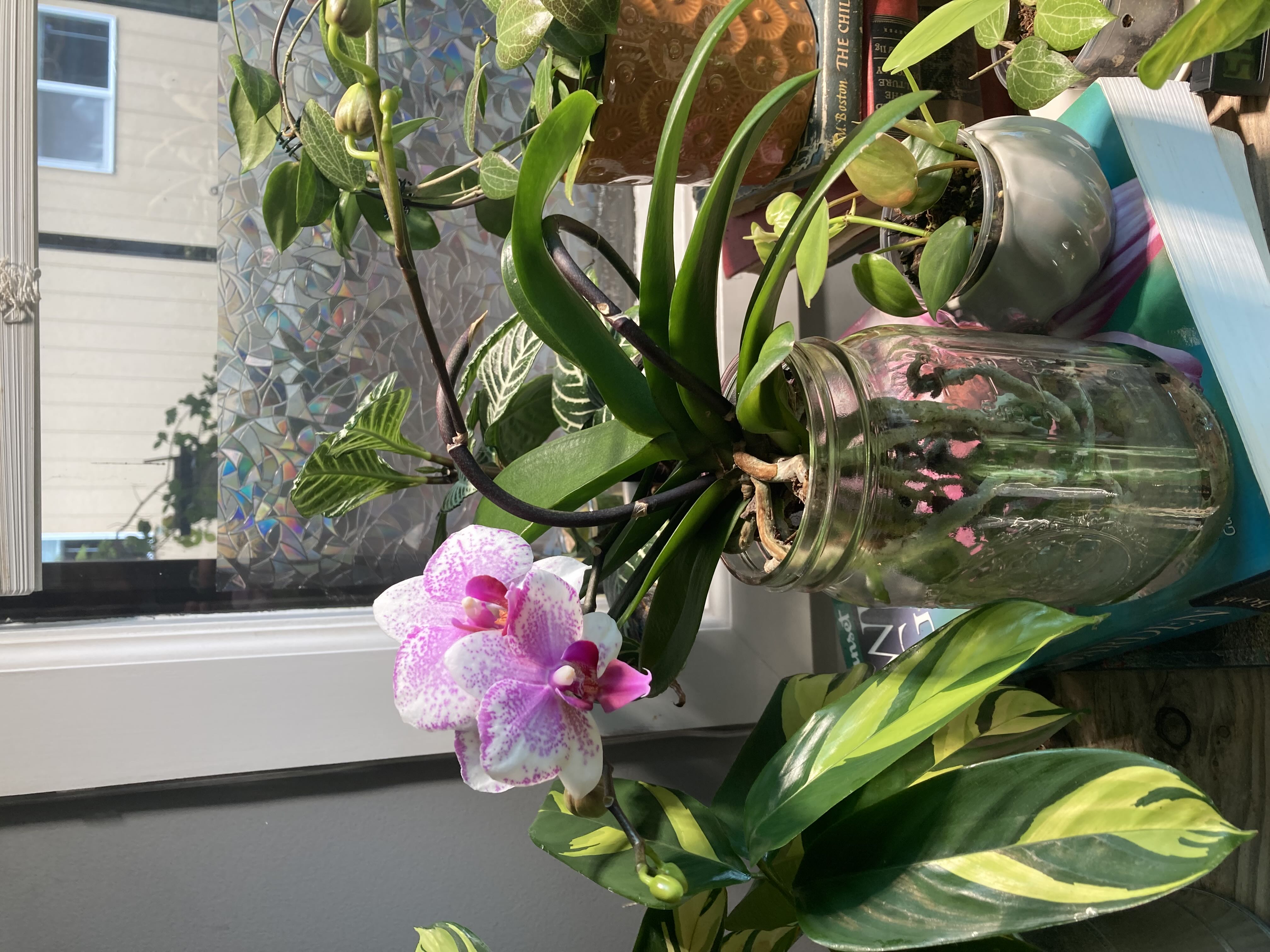 Photo from the post