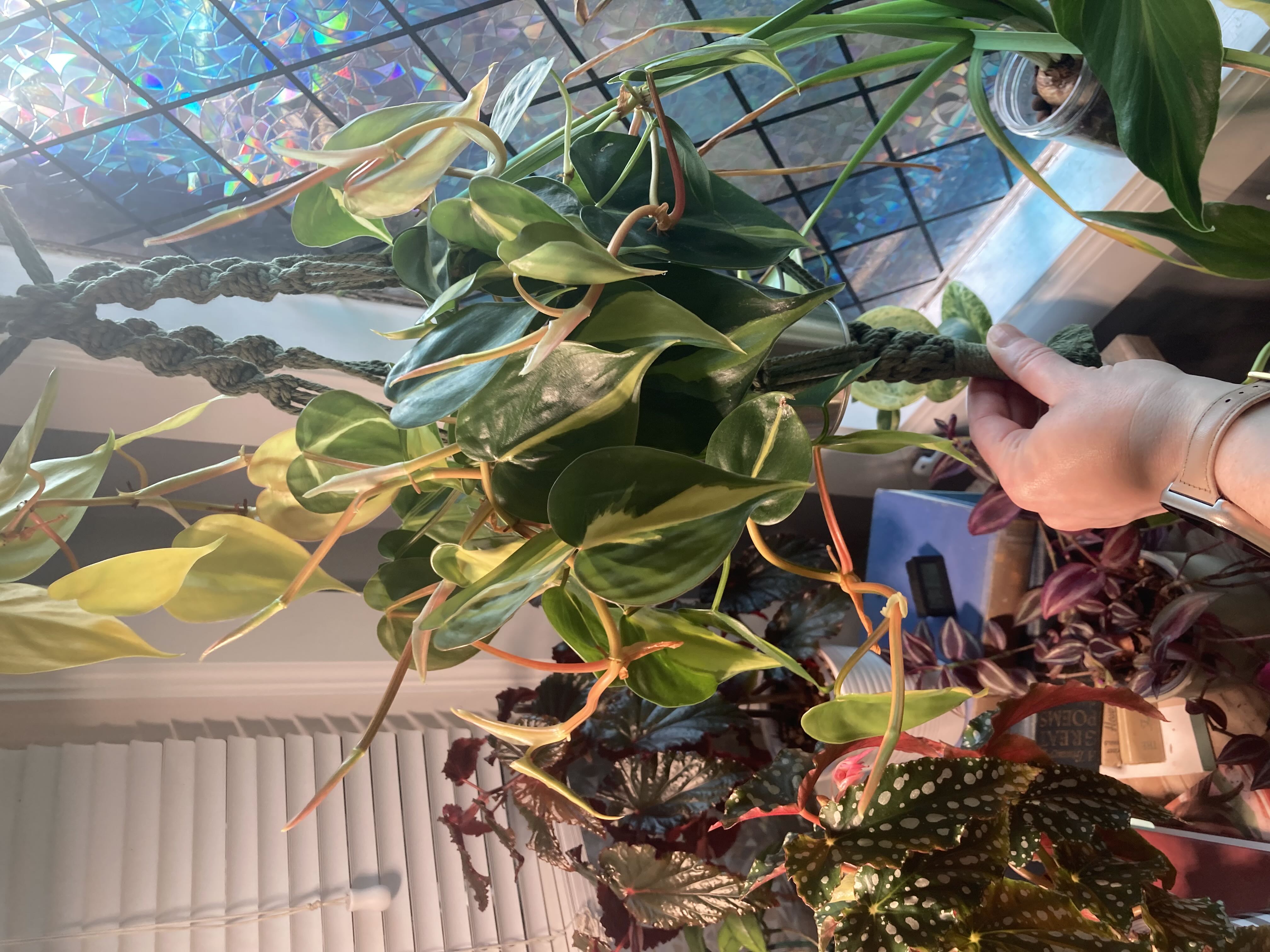 Photo from the post