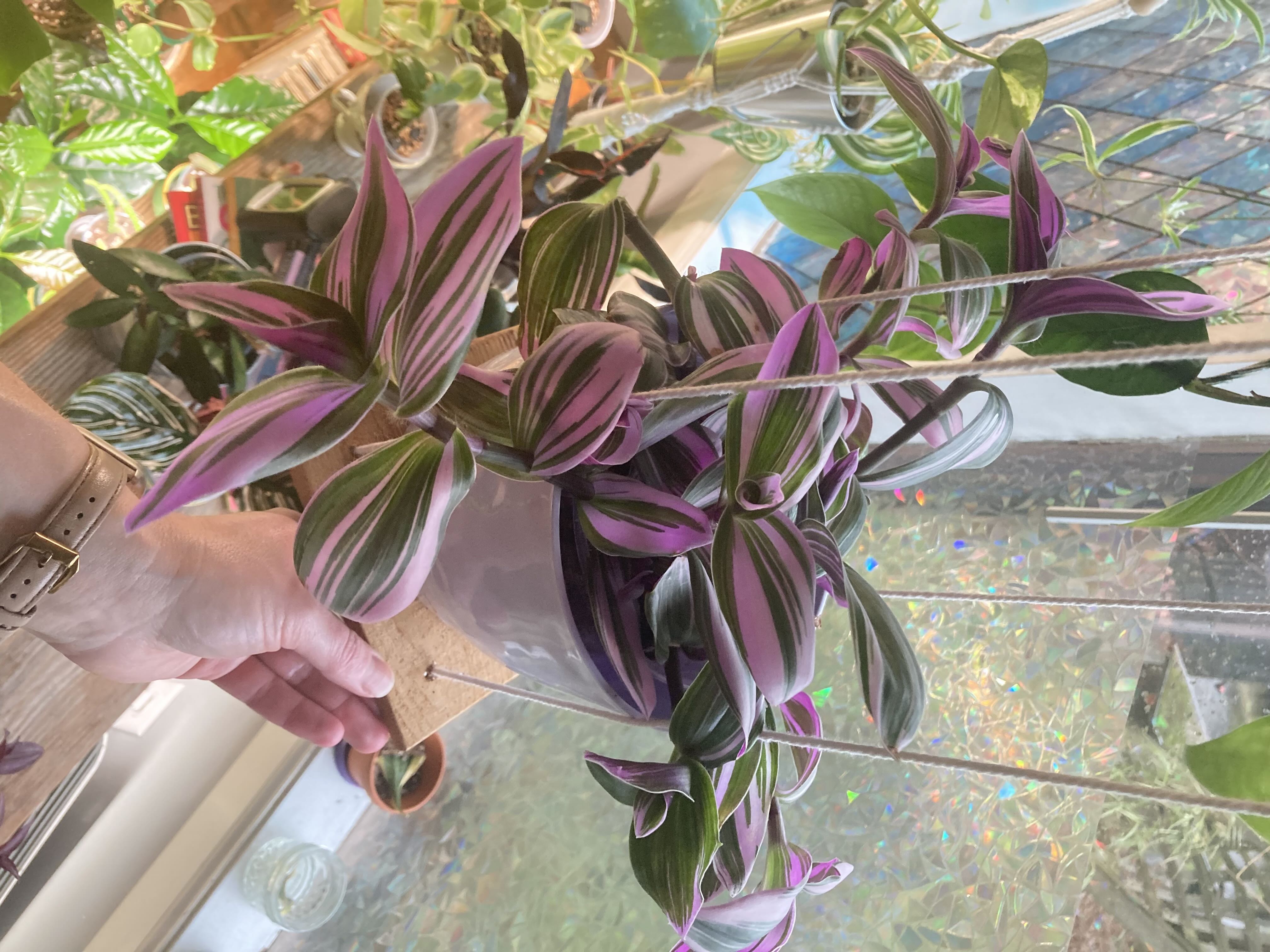 Photo from the post