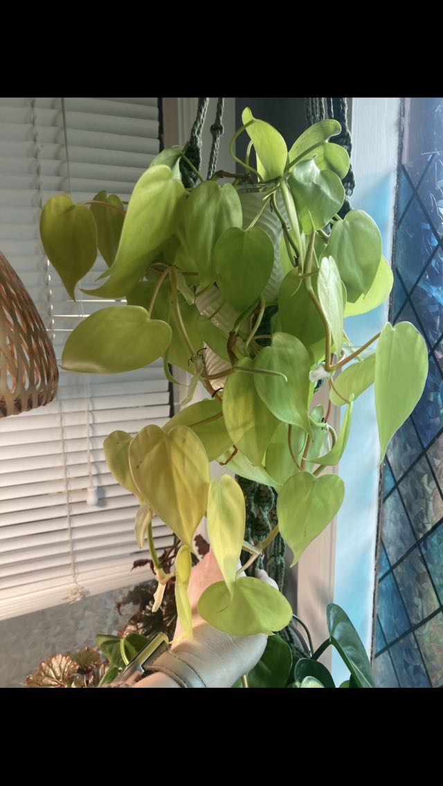 Photo from the post