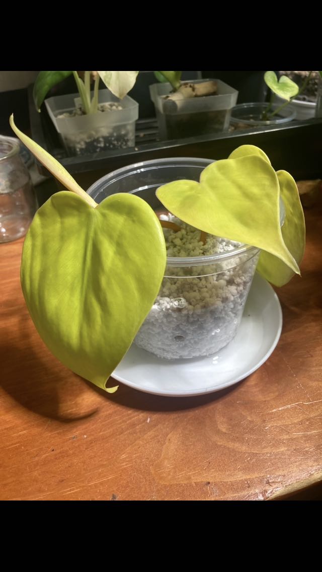 Photo from the post