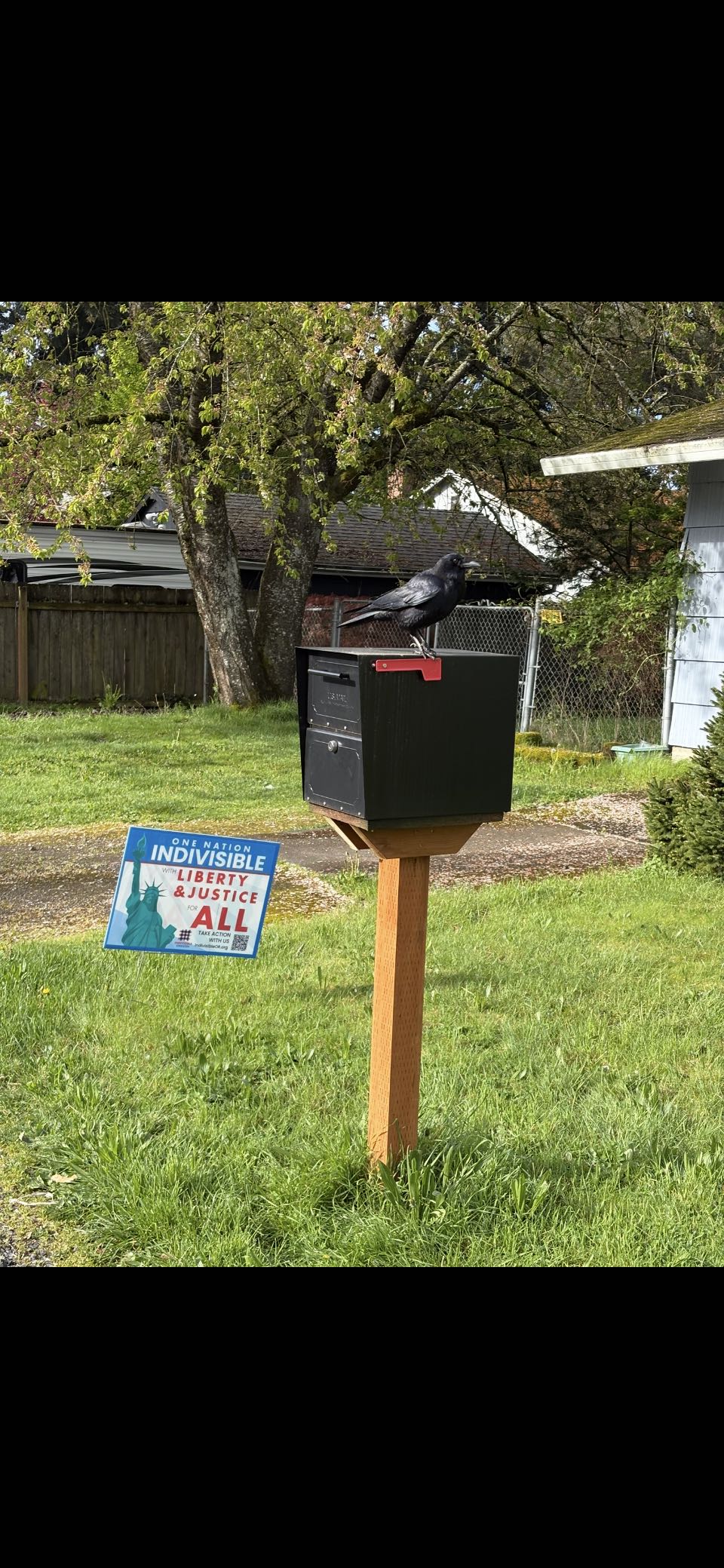 Photo from the post
