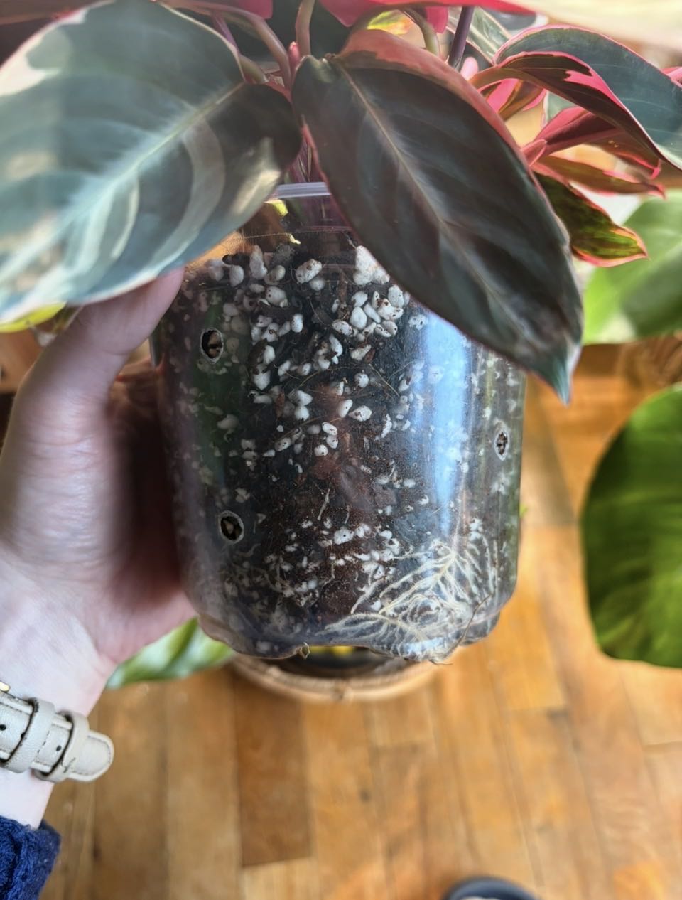 Photo from the post