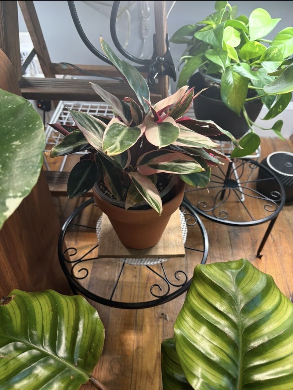 Photo from the post