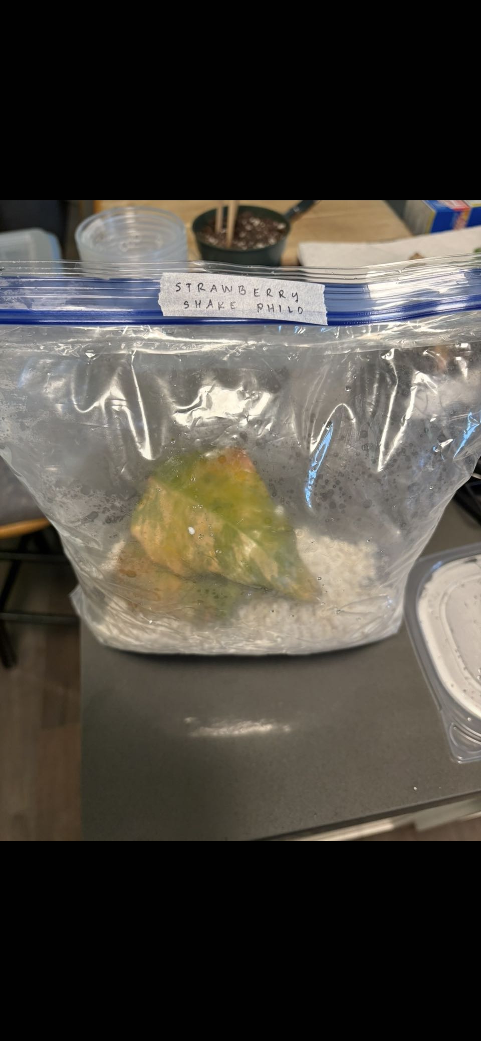 Photo from the post