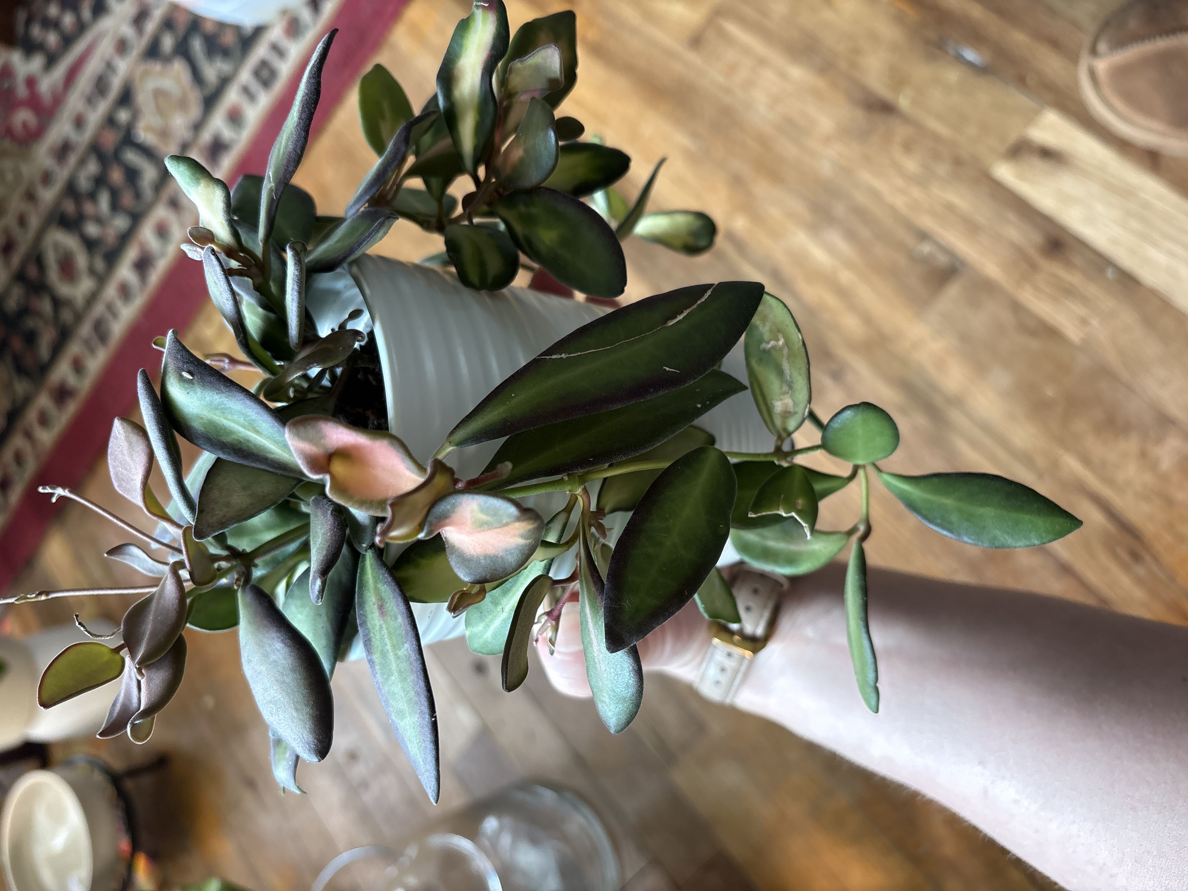 Photo from the post