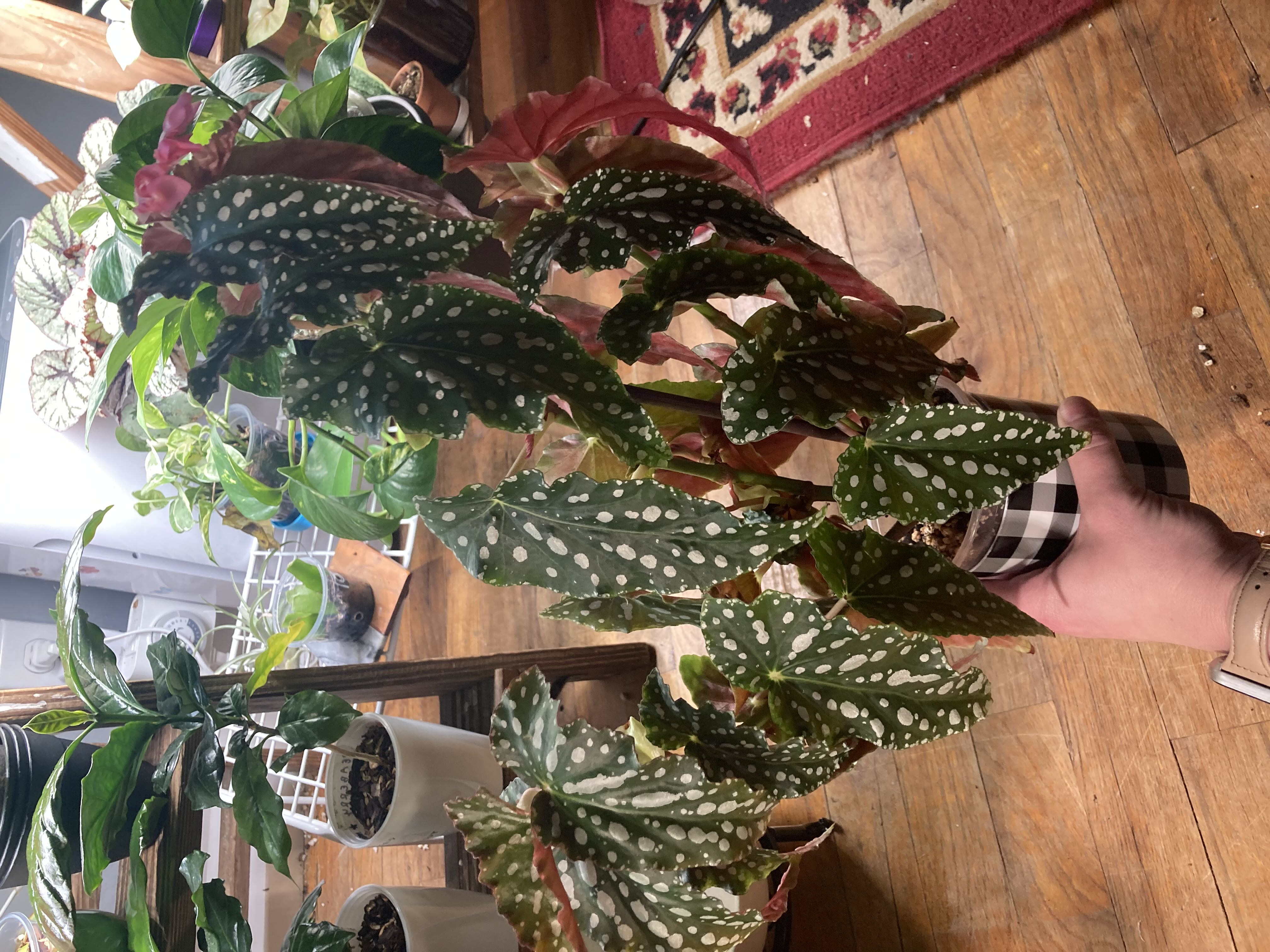 Photo from the post