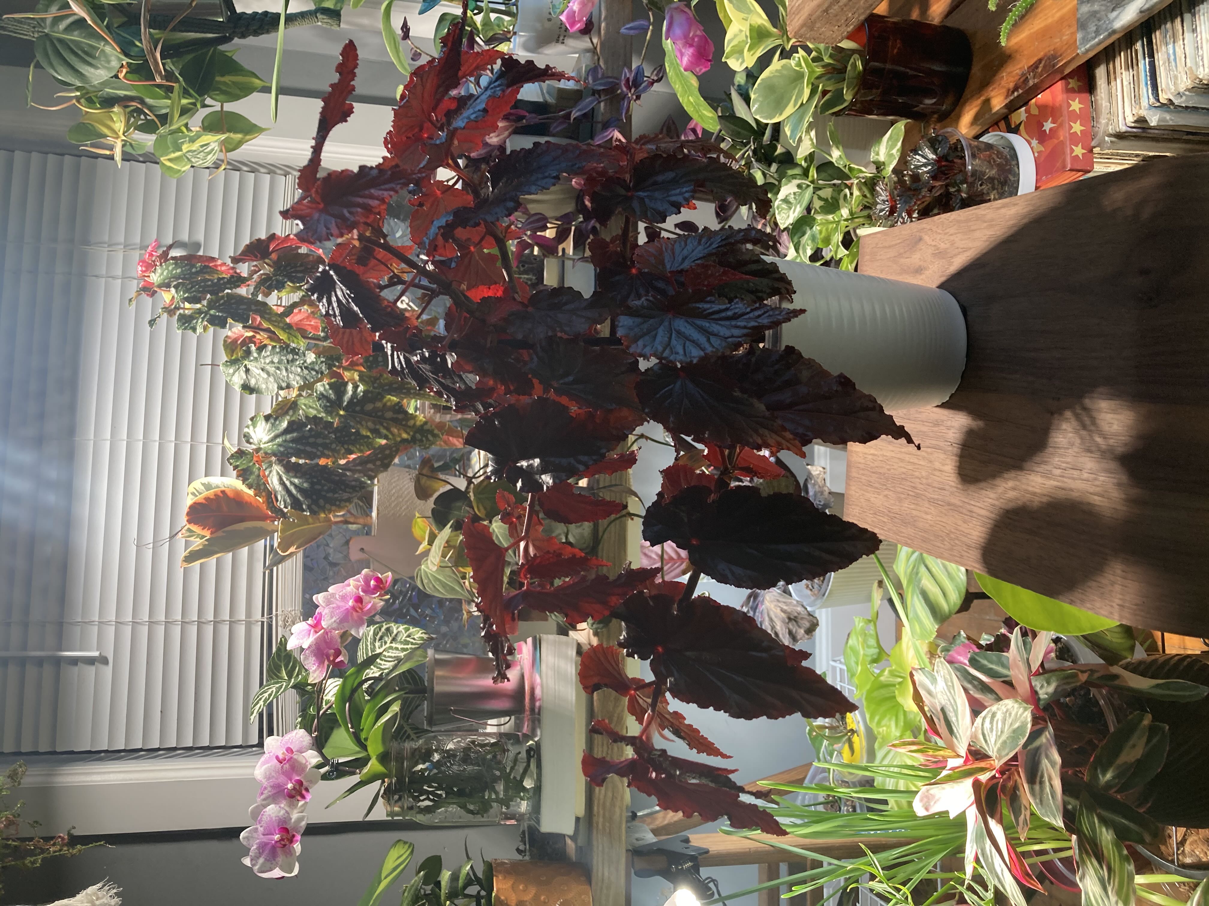 Photo from the post