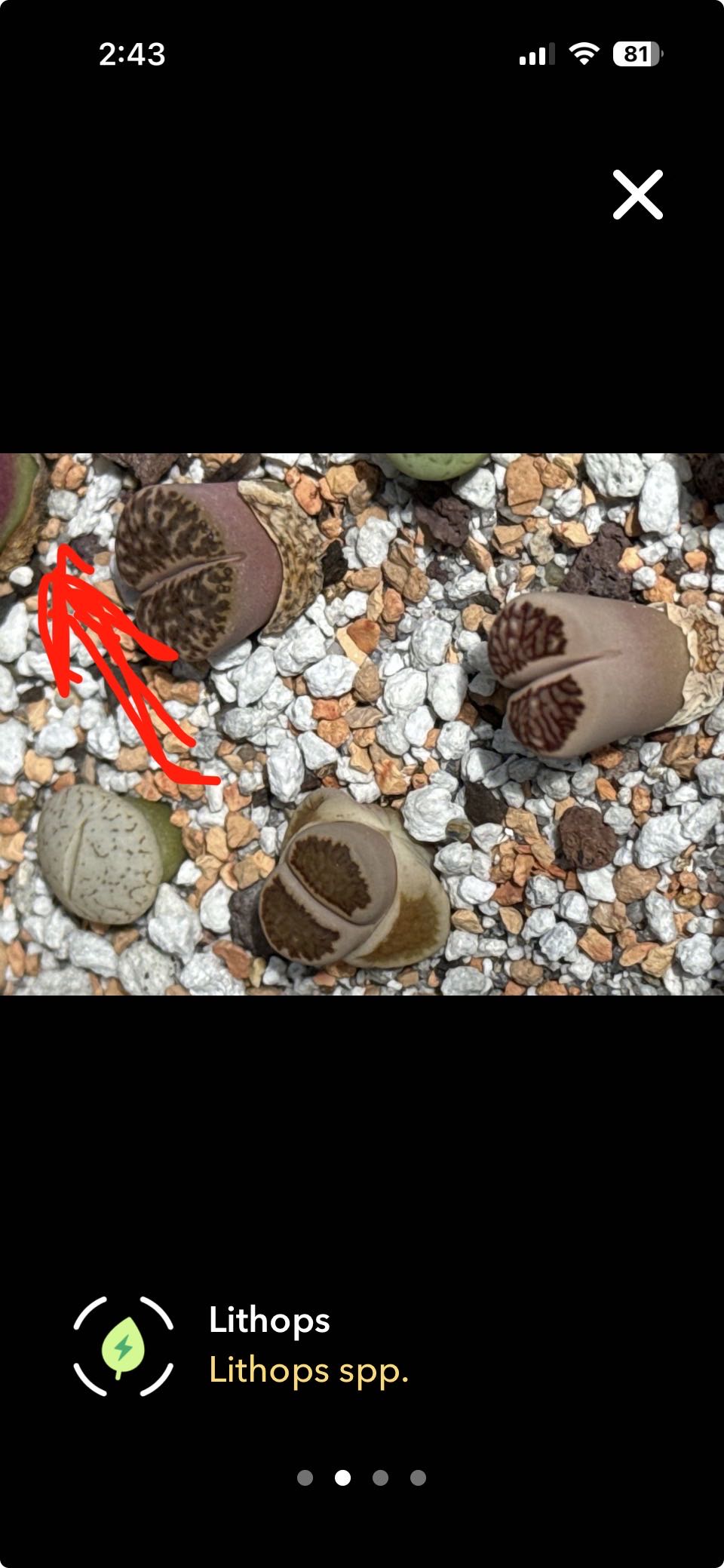Photo from the post