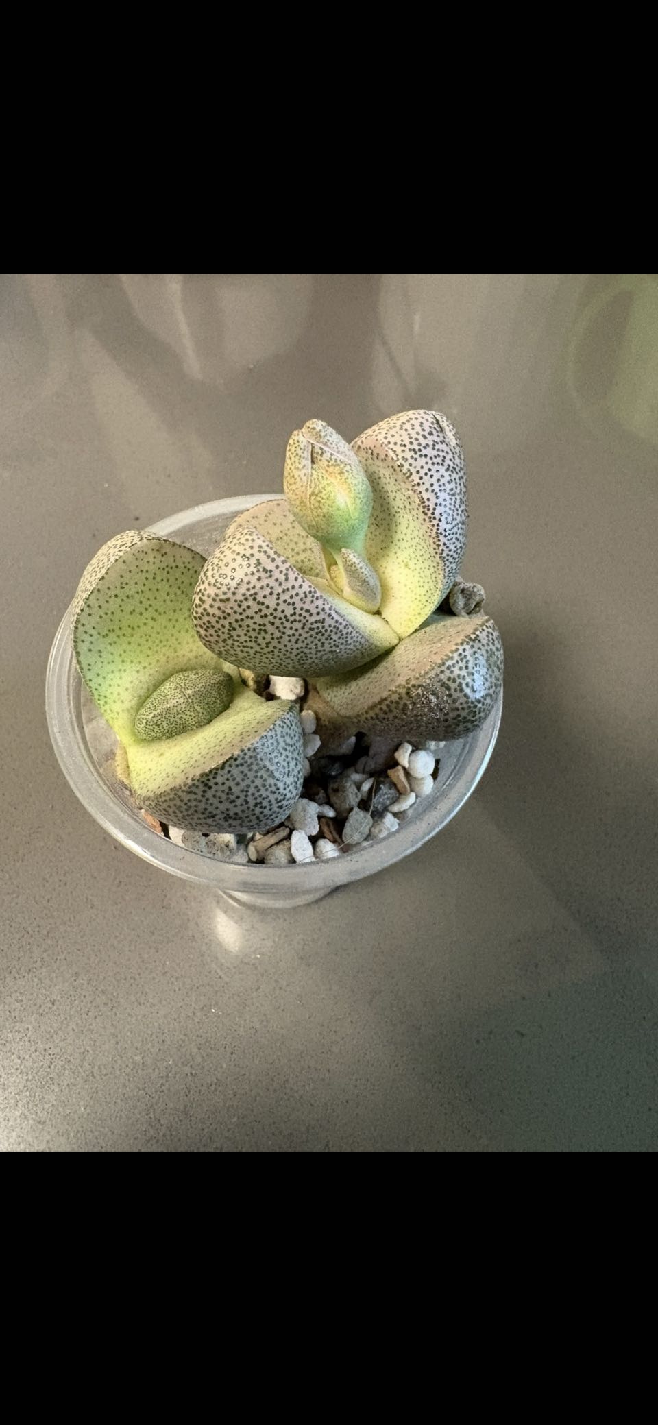 Photo from the post