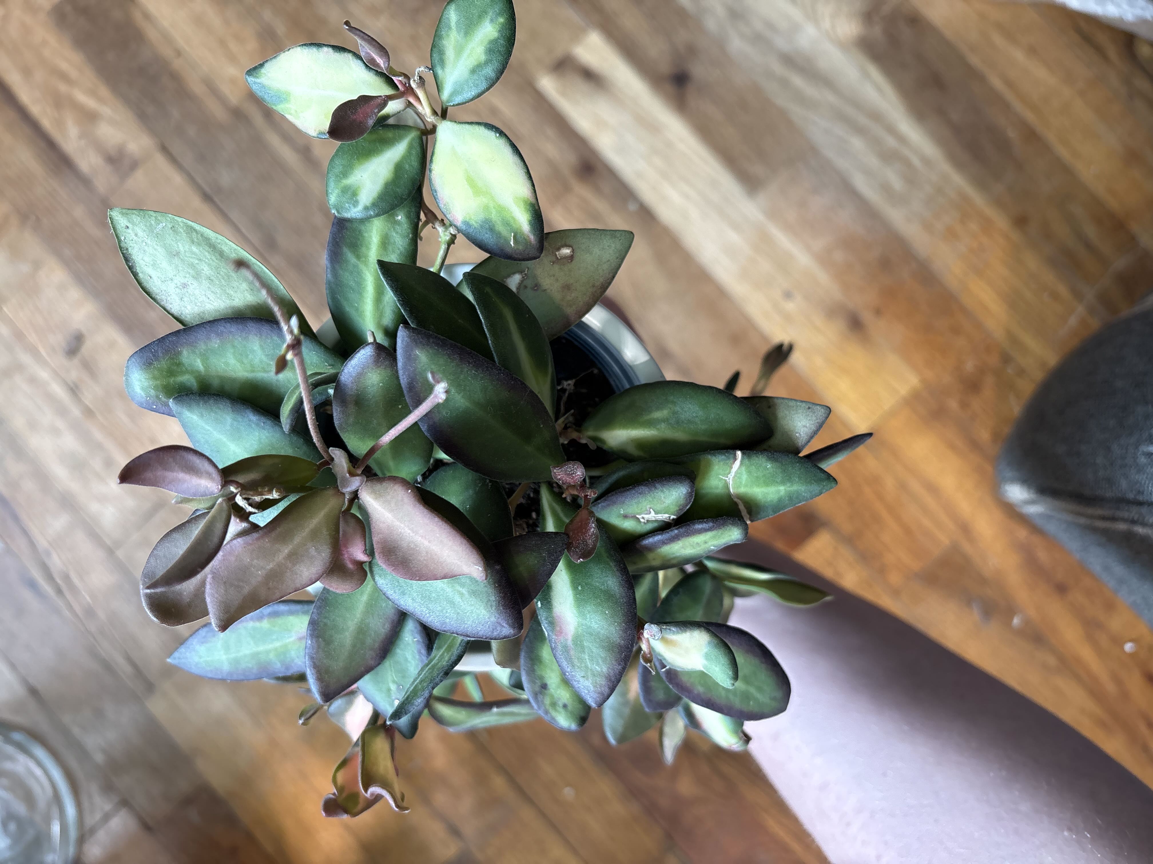 Photo from the post