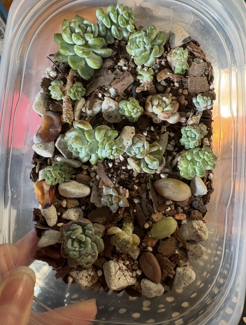 Photo from the post