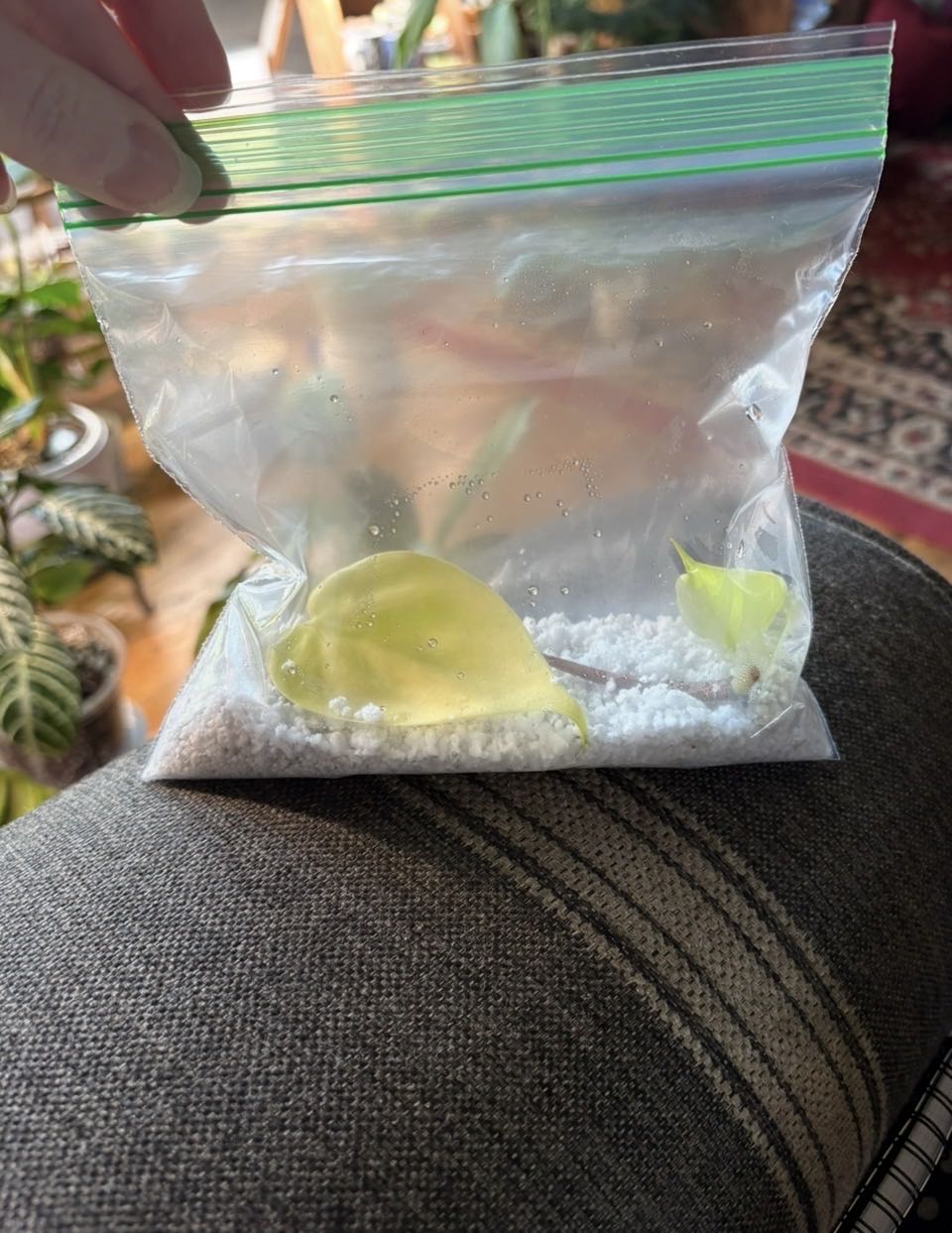 Photo from the post