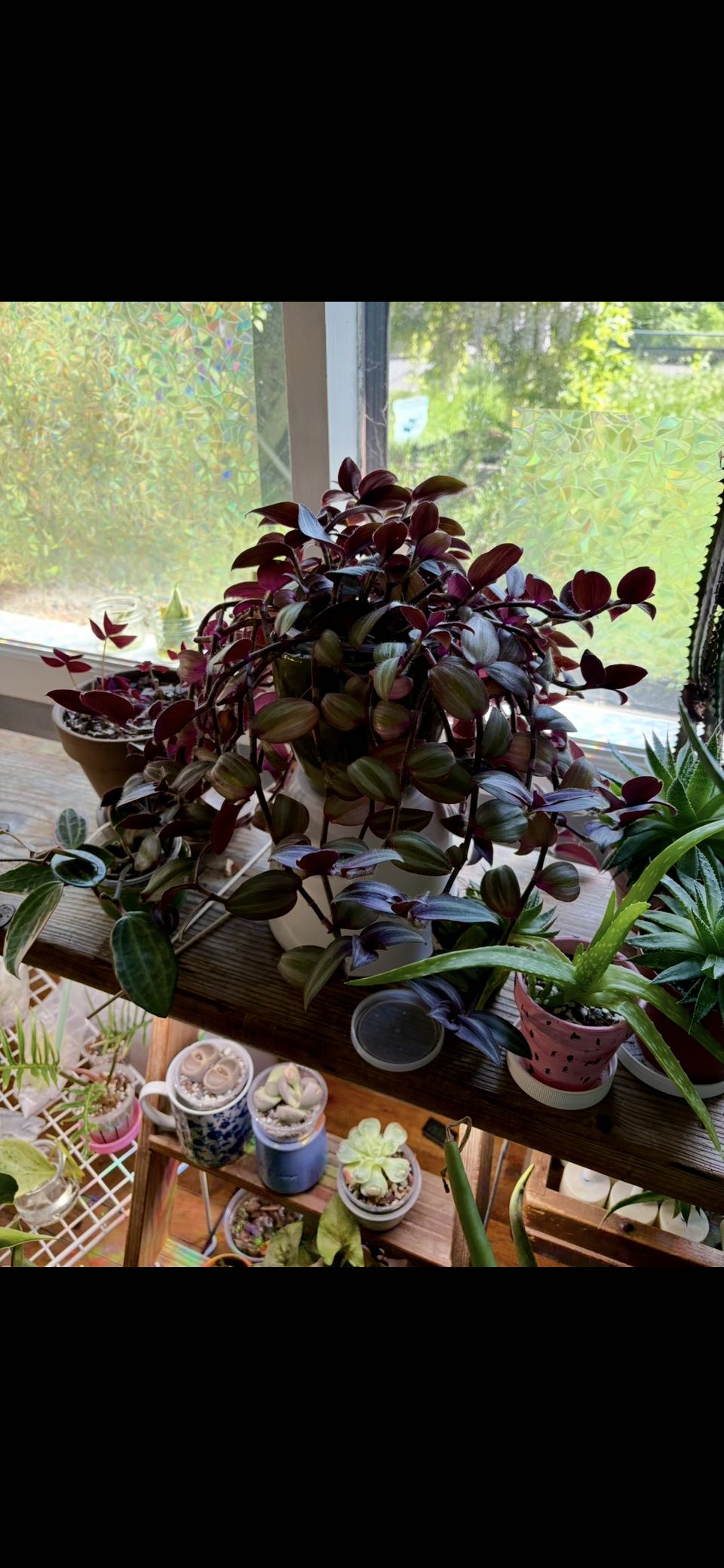 Photo from the post