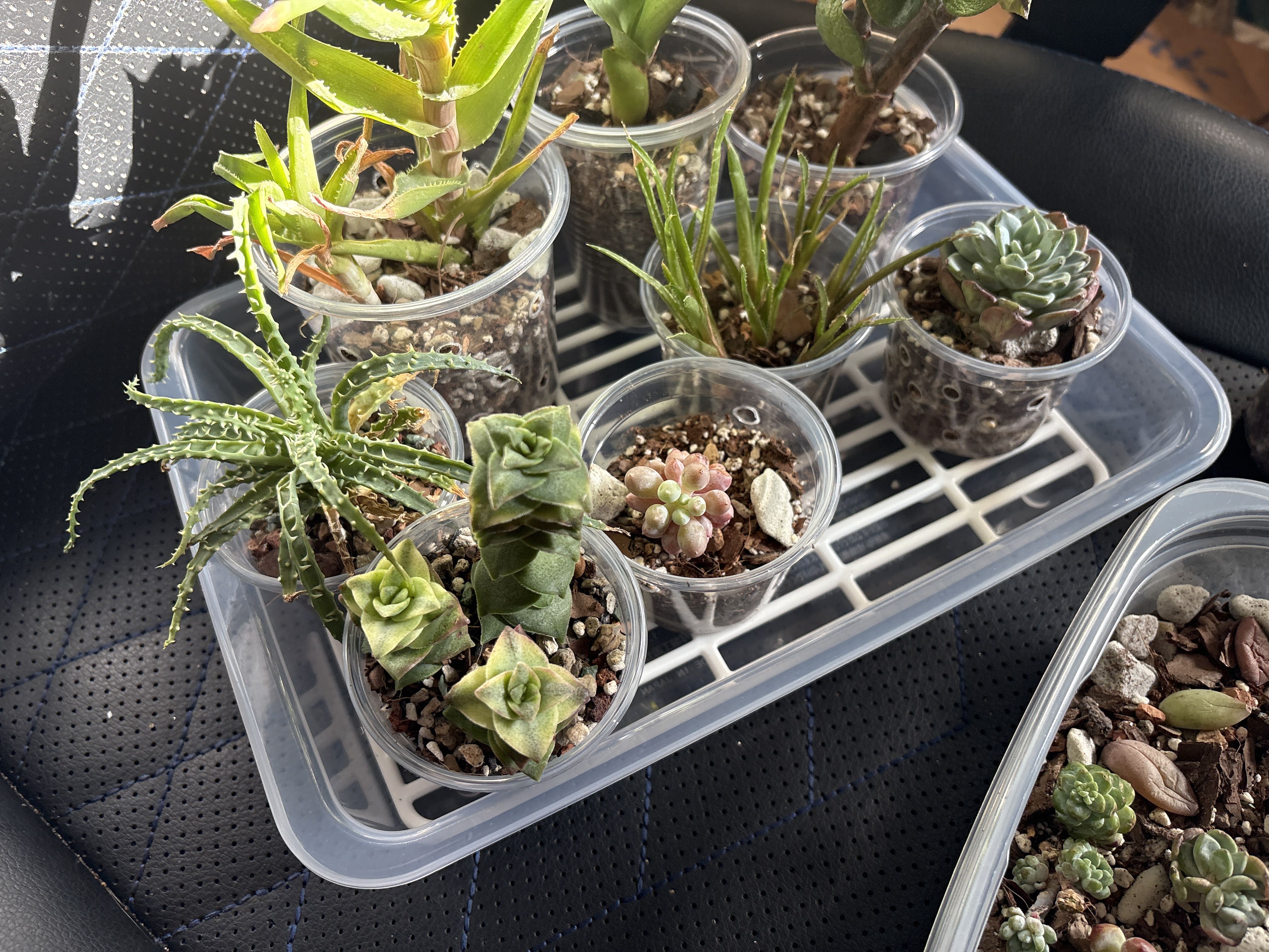 Photo from the post
