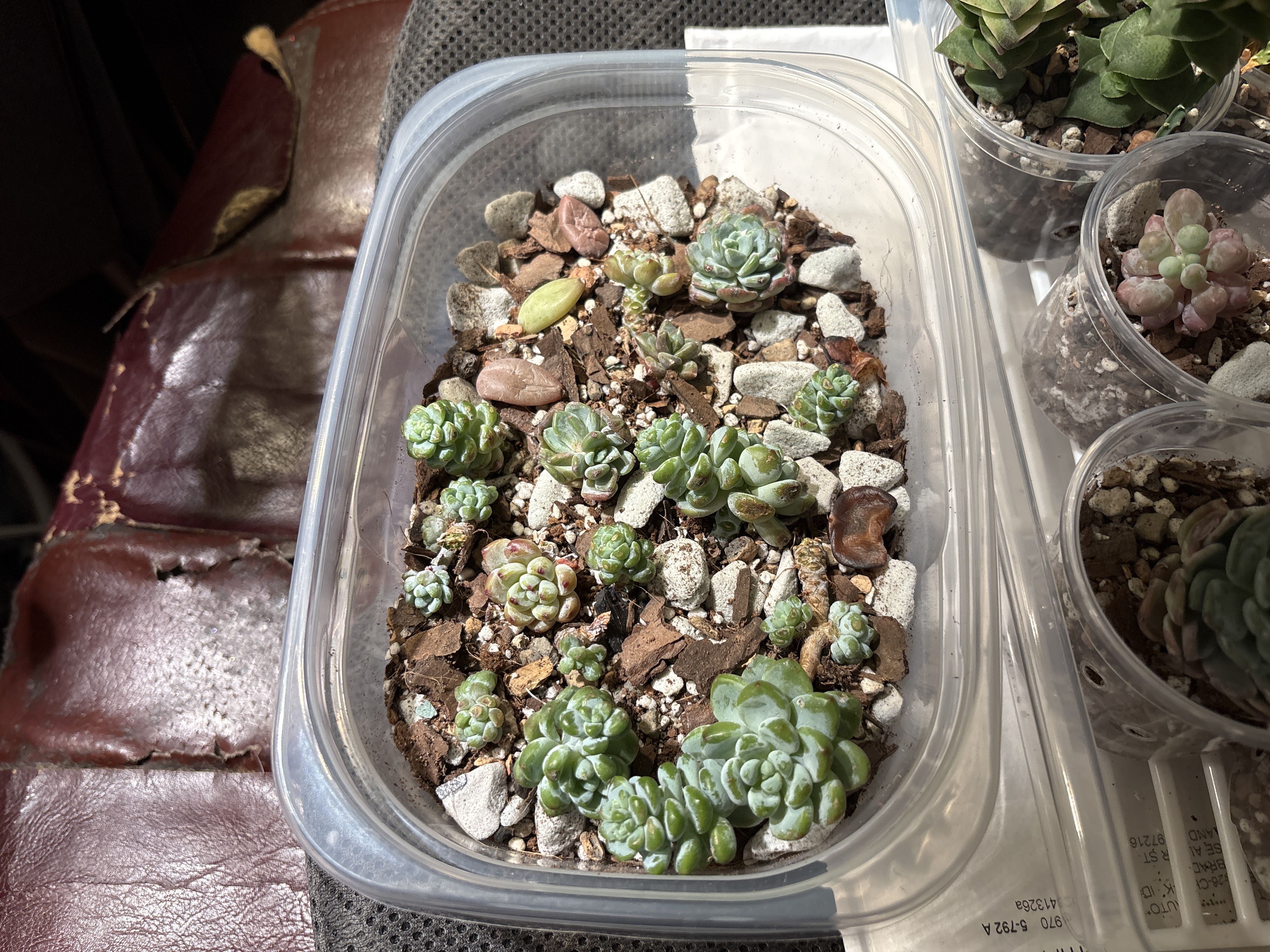 Photo from the post
