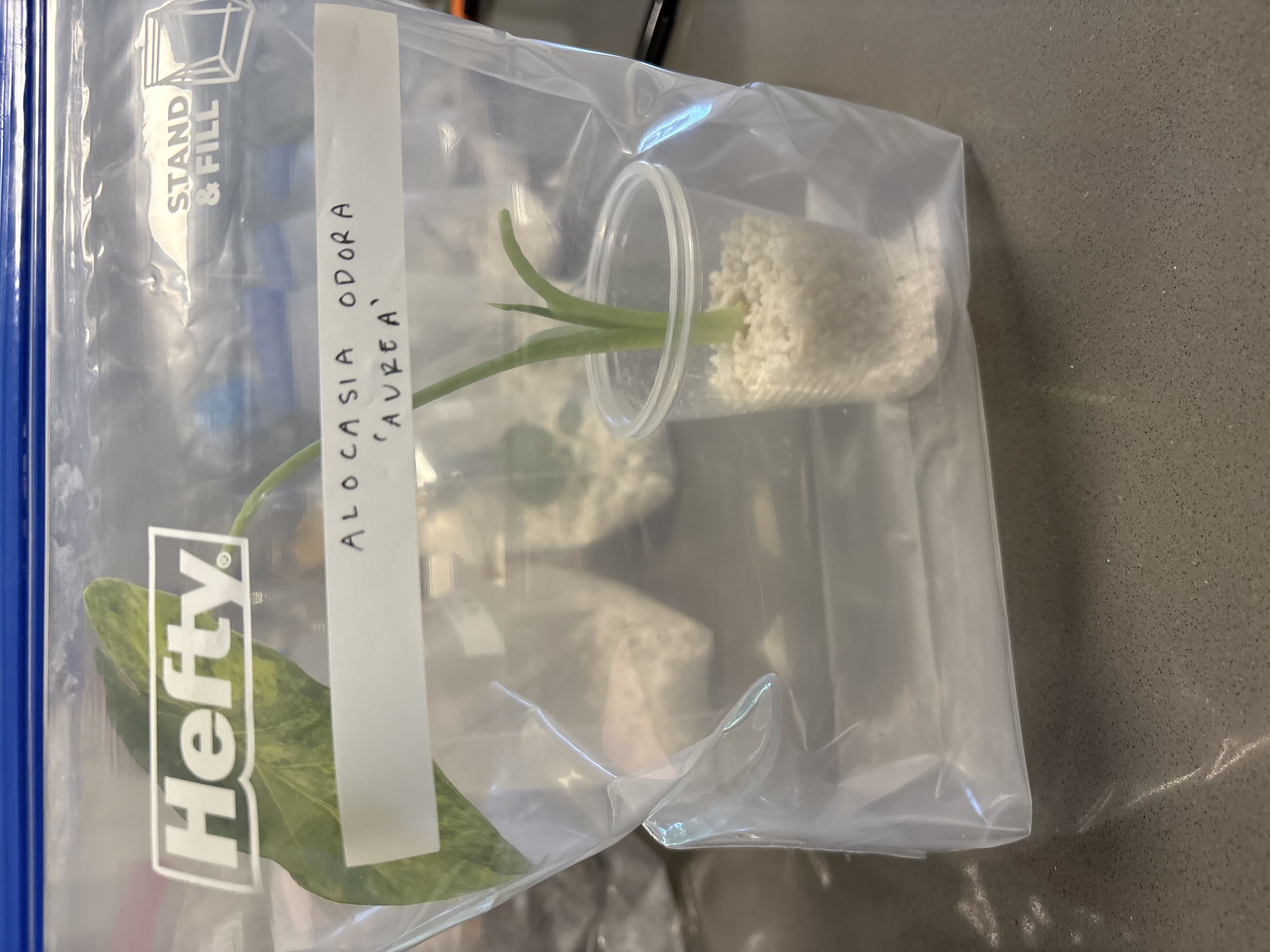 Photo from the post
