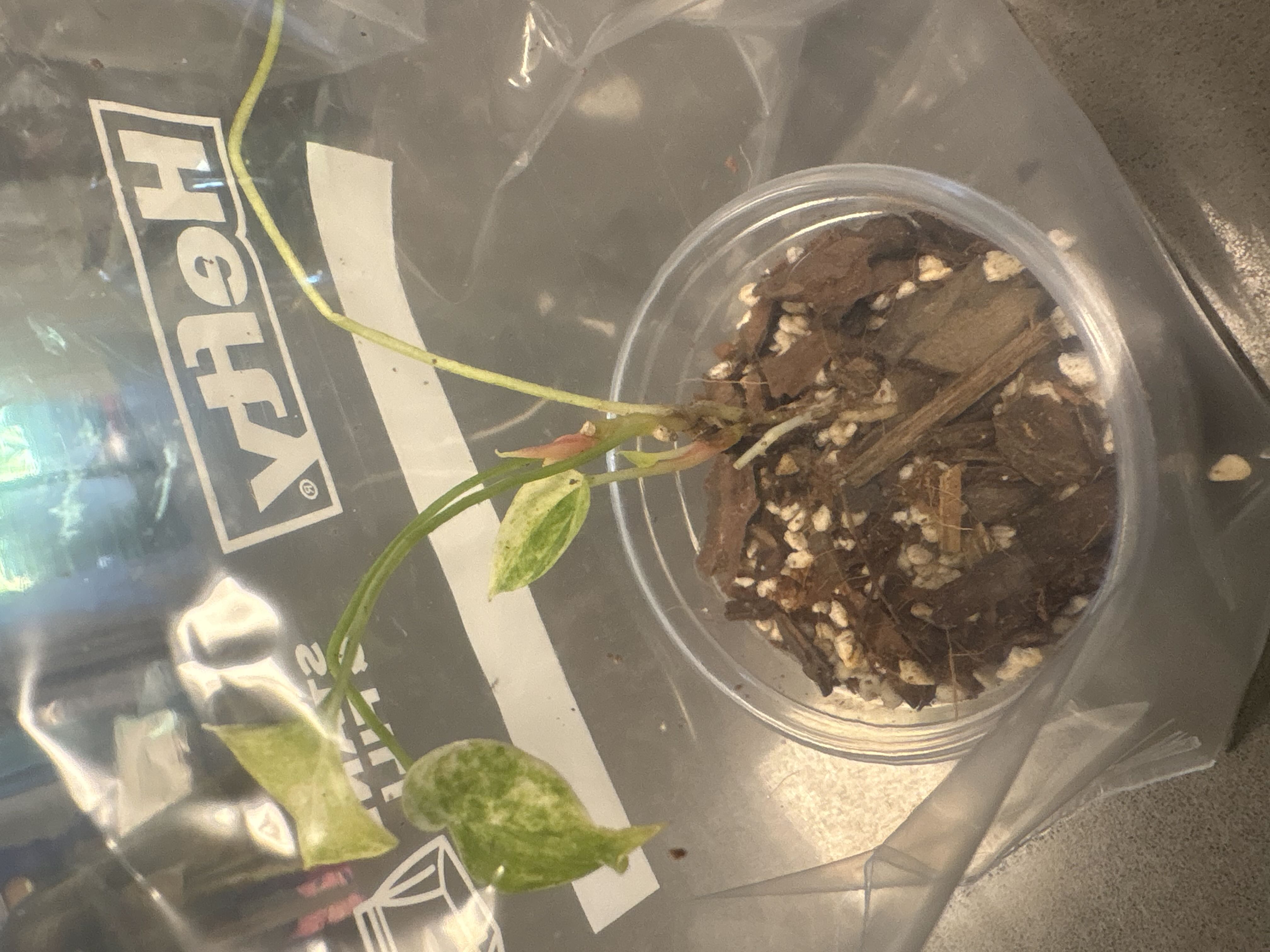 Photo from the post