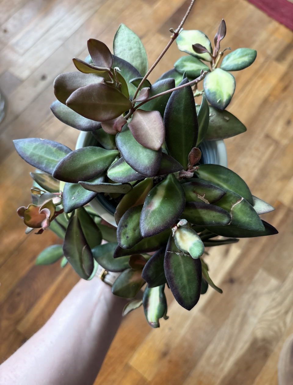 Photo from the post