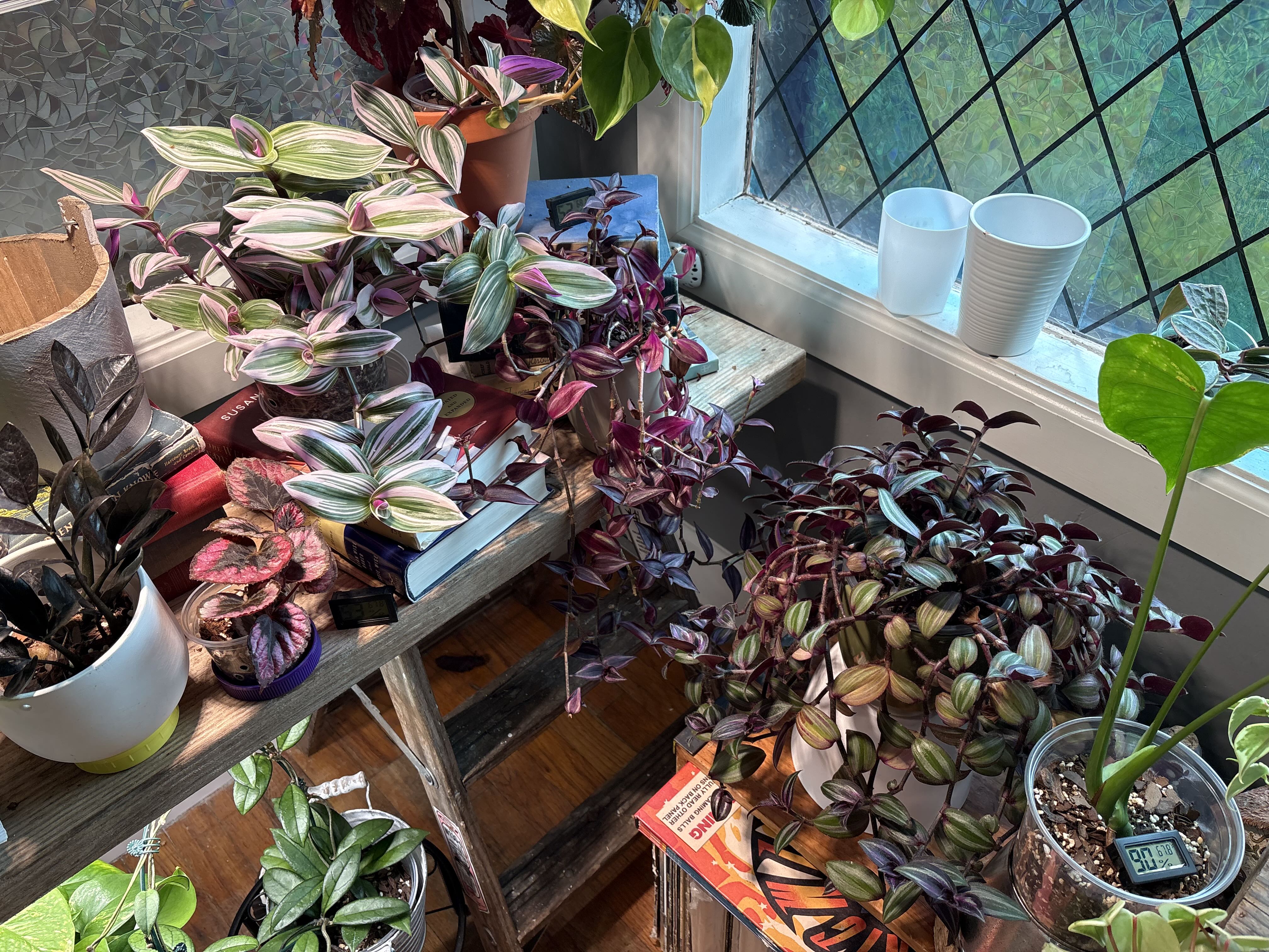 Photo from the post