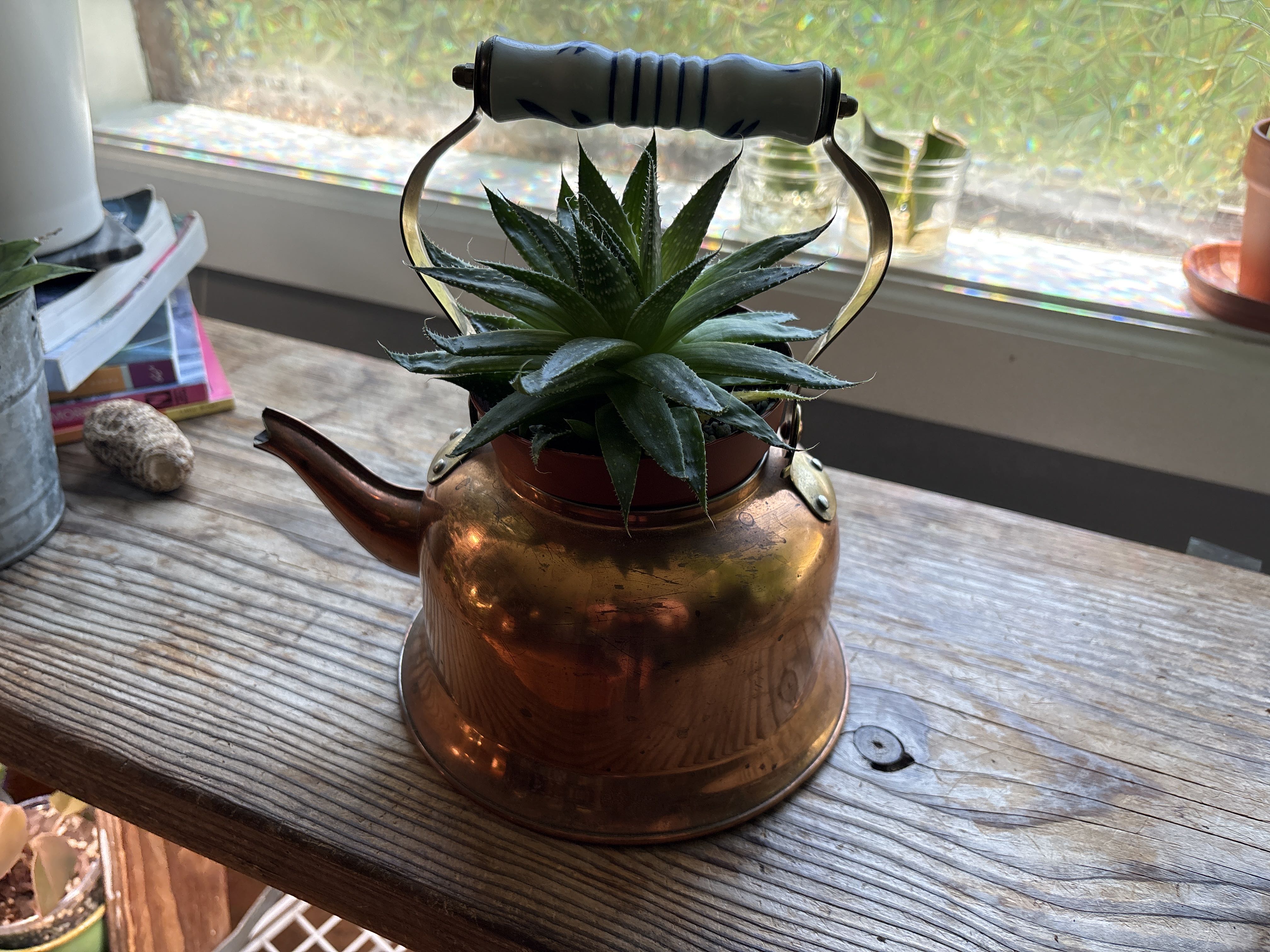 Photo from the post
