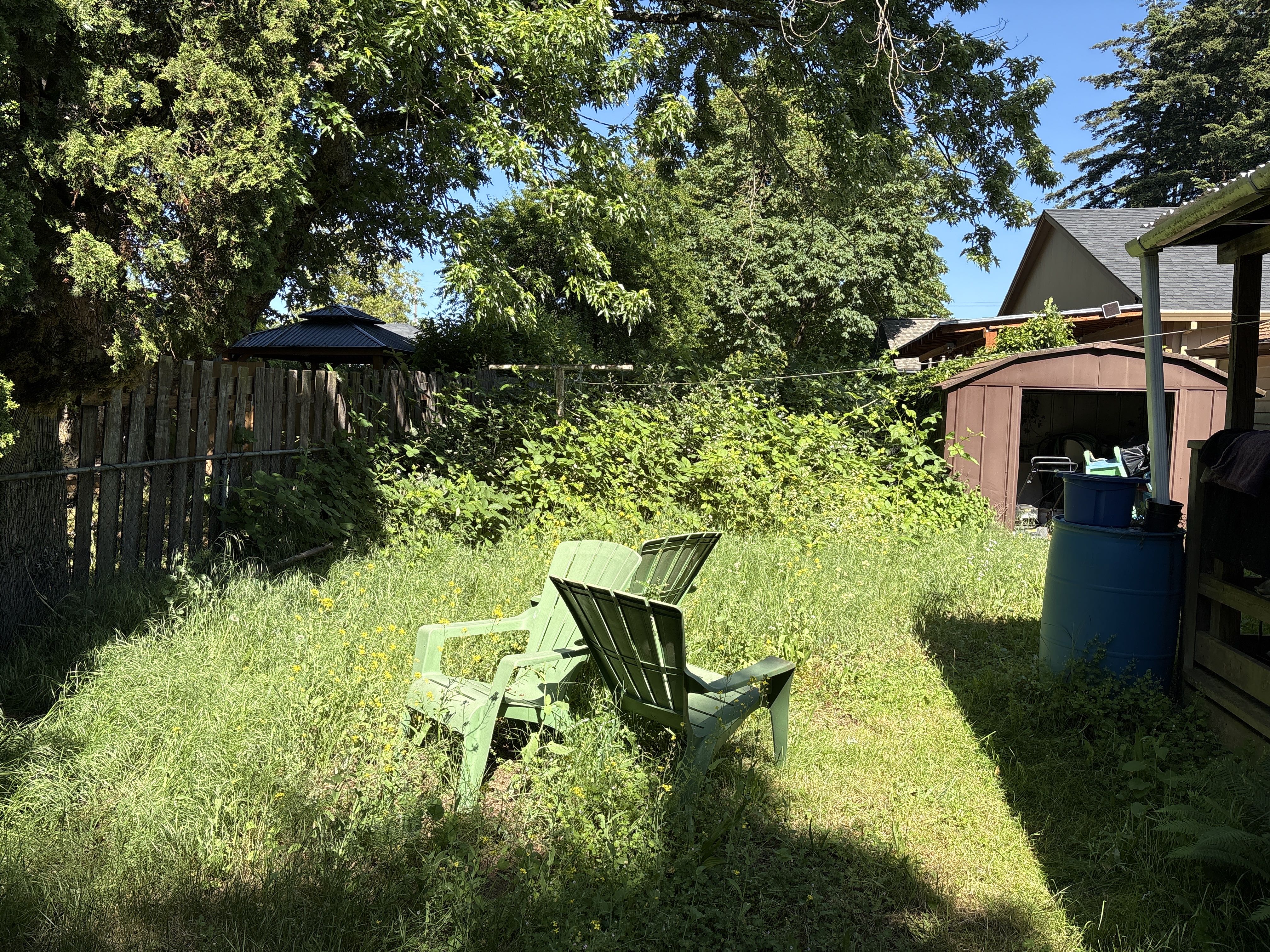 Photo from the post