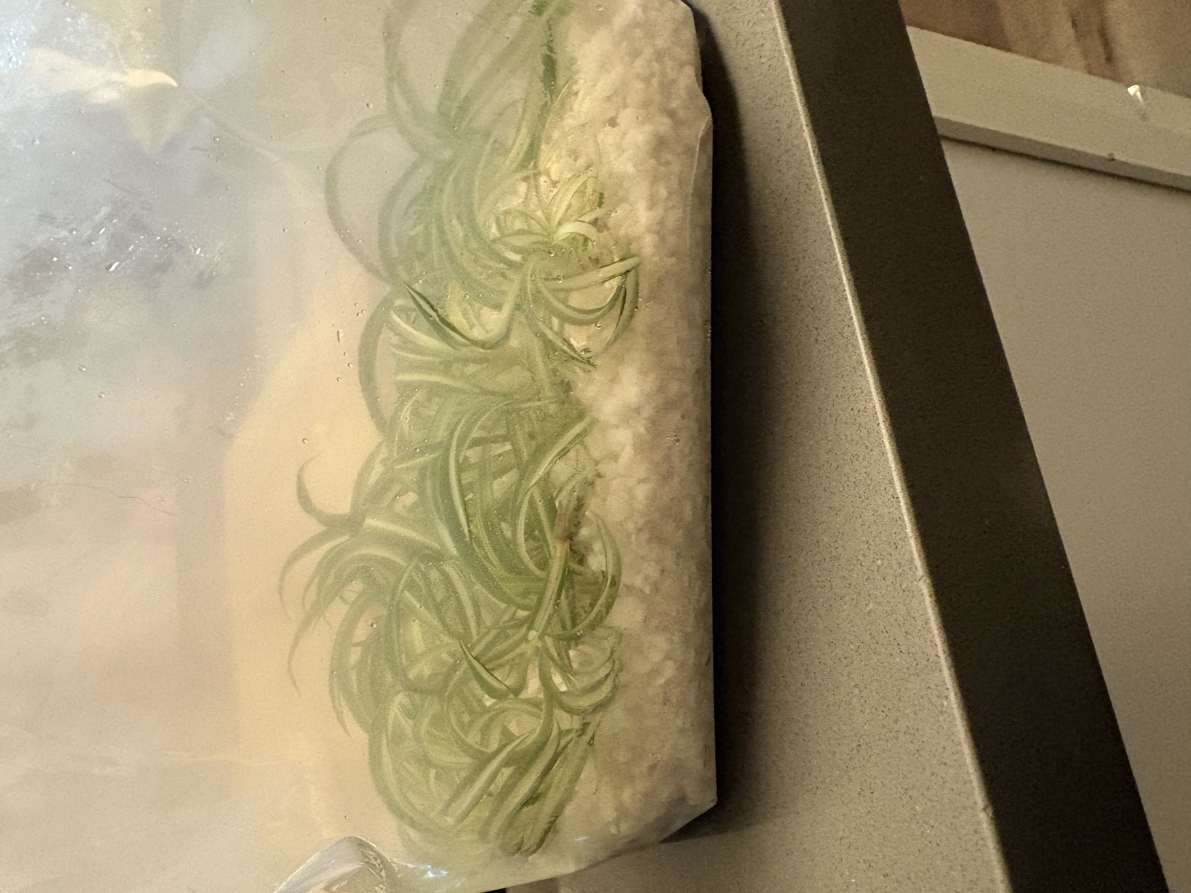 Photo from the post