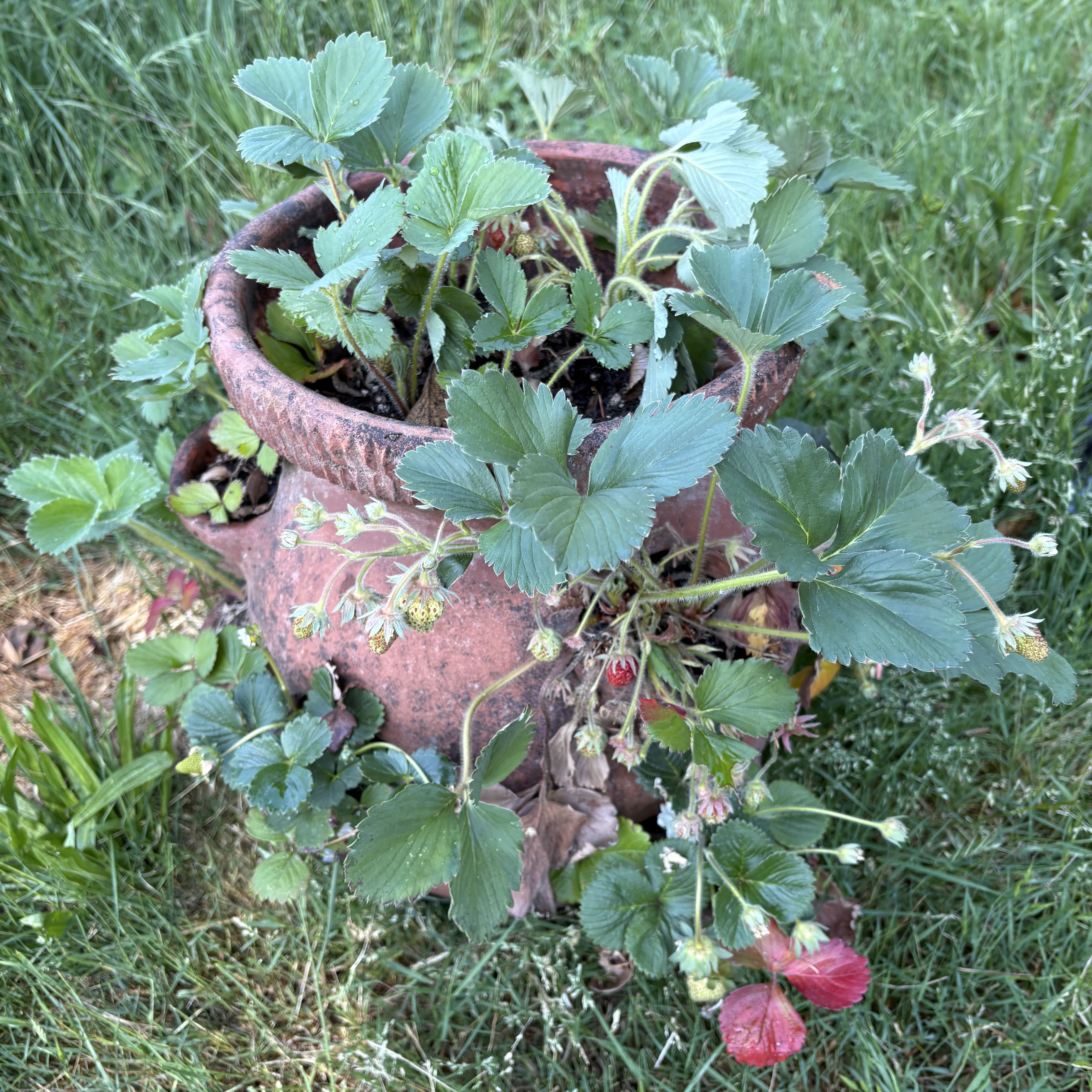Photo from the post
